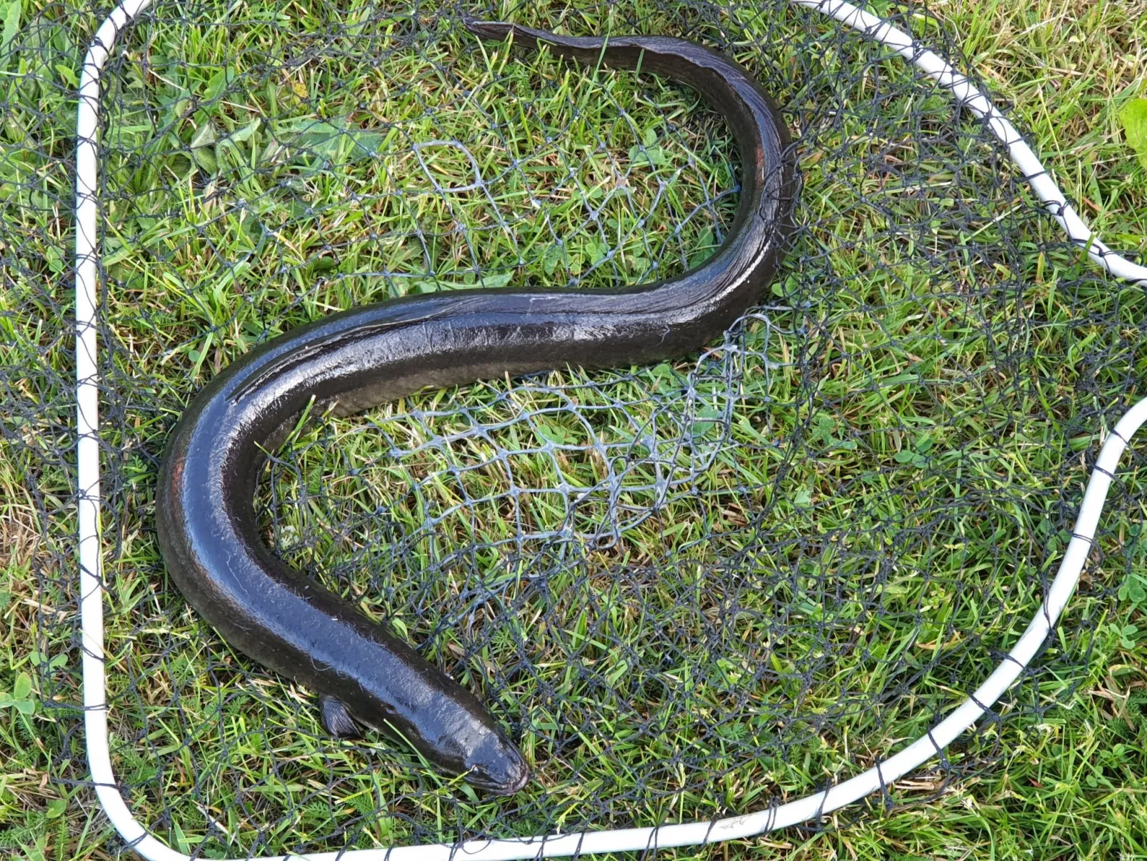 Gemütliches Cottage mit Whirlpool