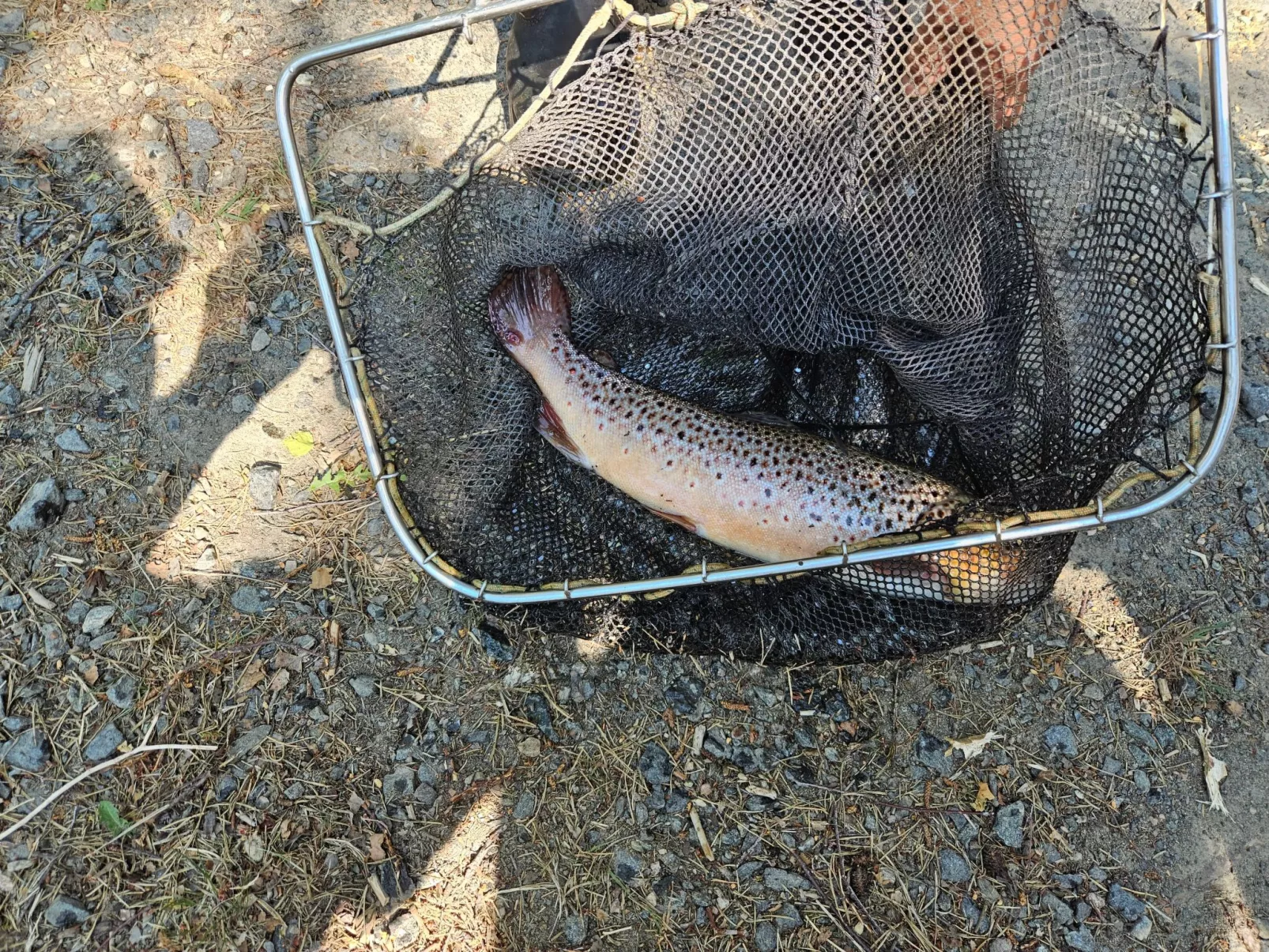 Cottage mit Whirlpool