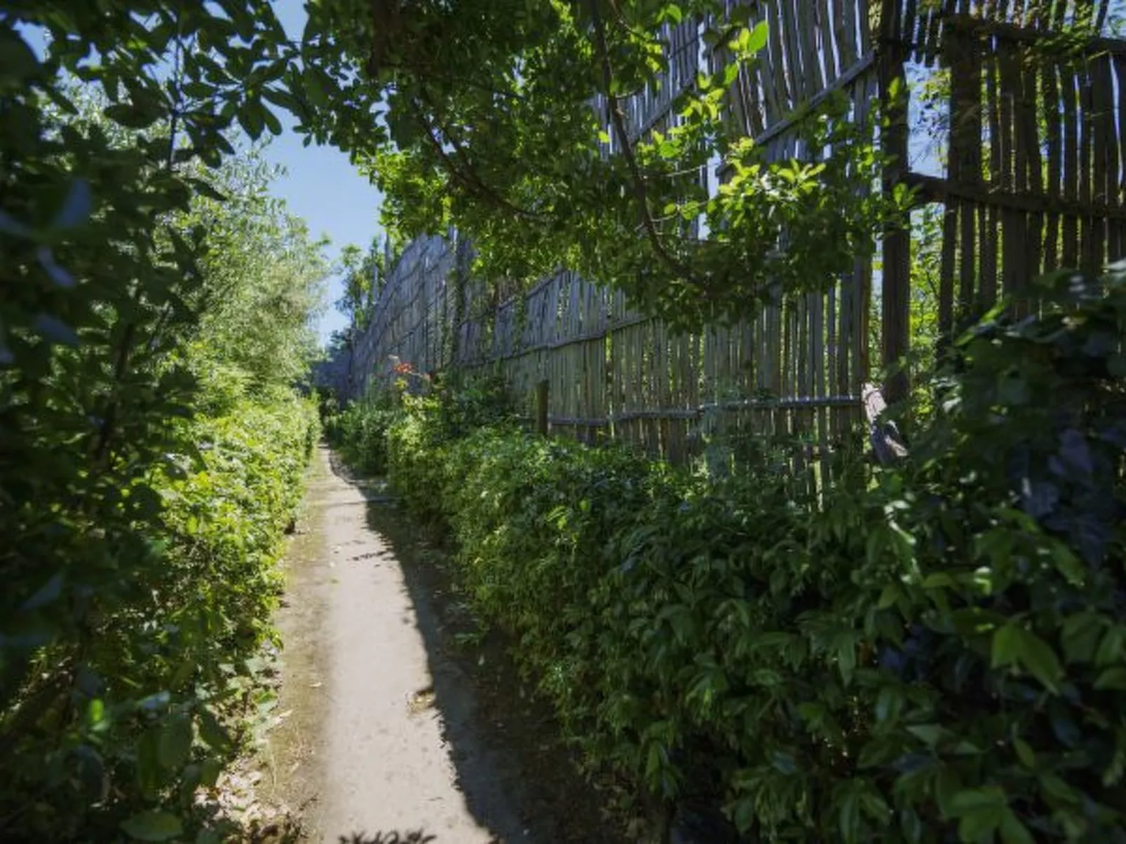 La Veranda di Villa Preziosa al Pizzo