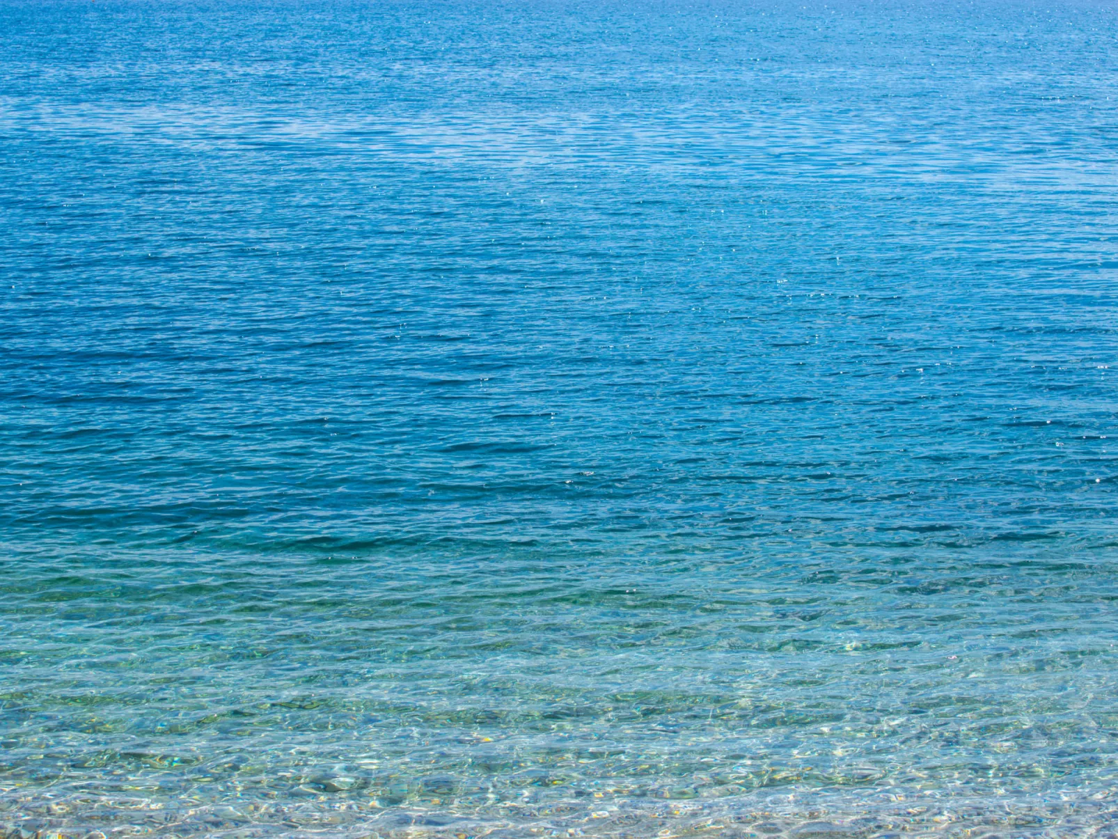 NOVOSELIC 6 / HR-02246-06