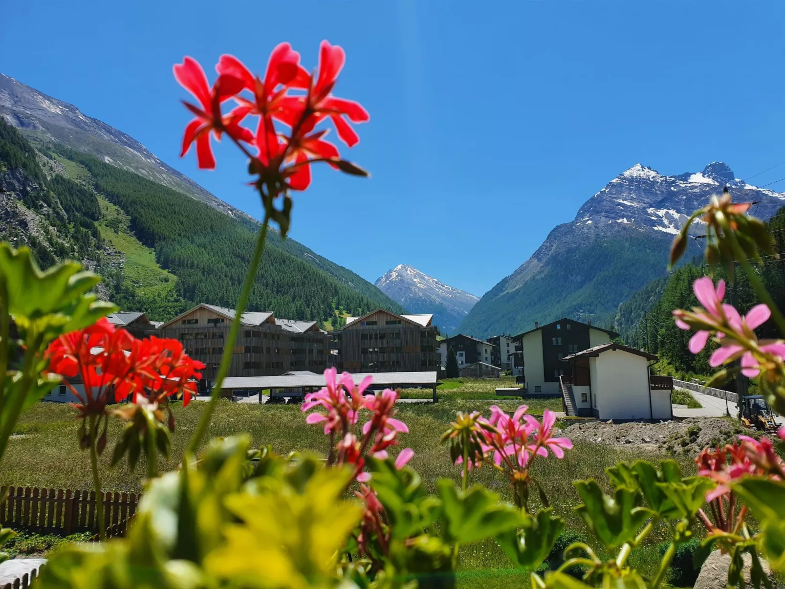 Haus Artemis - Binnen