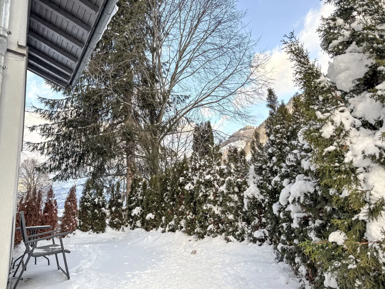 Apartment Anneliese - Buiten