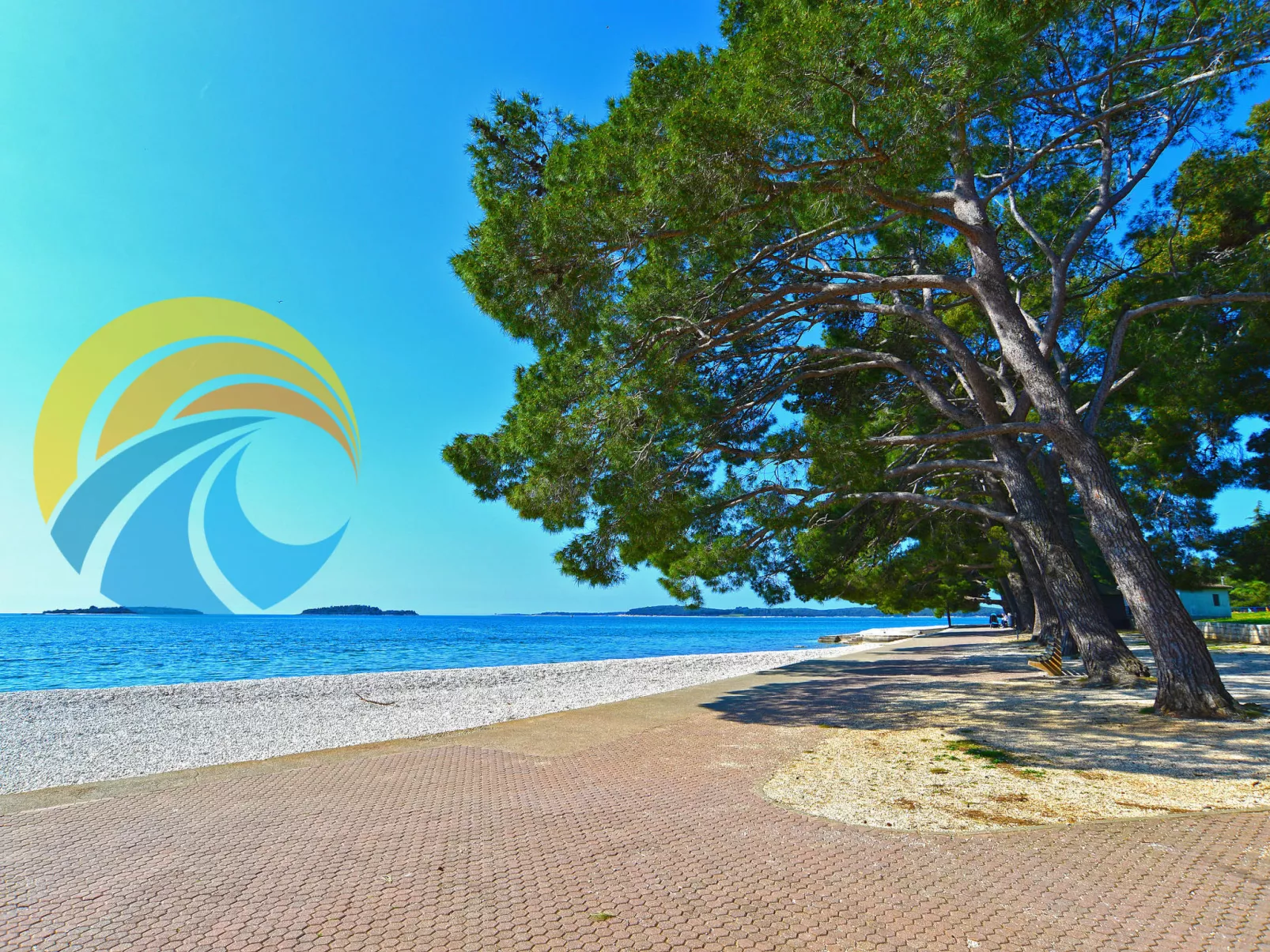 Apartment 1271 - Image-tags.info