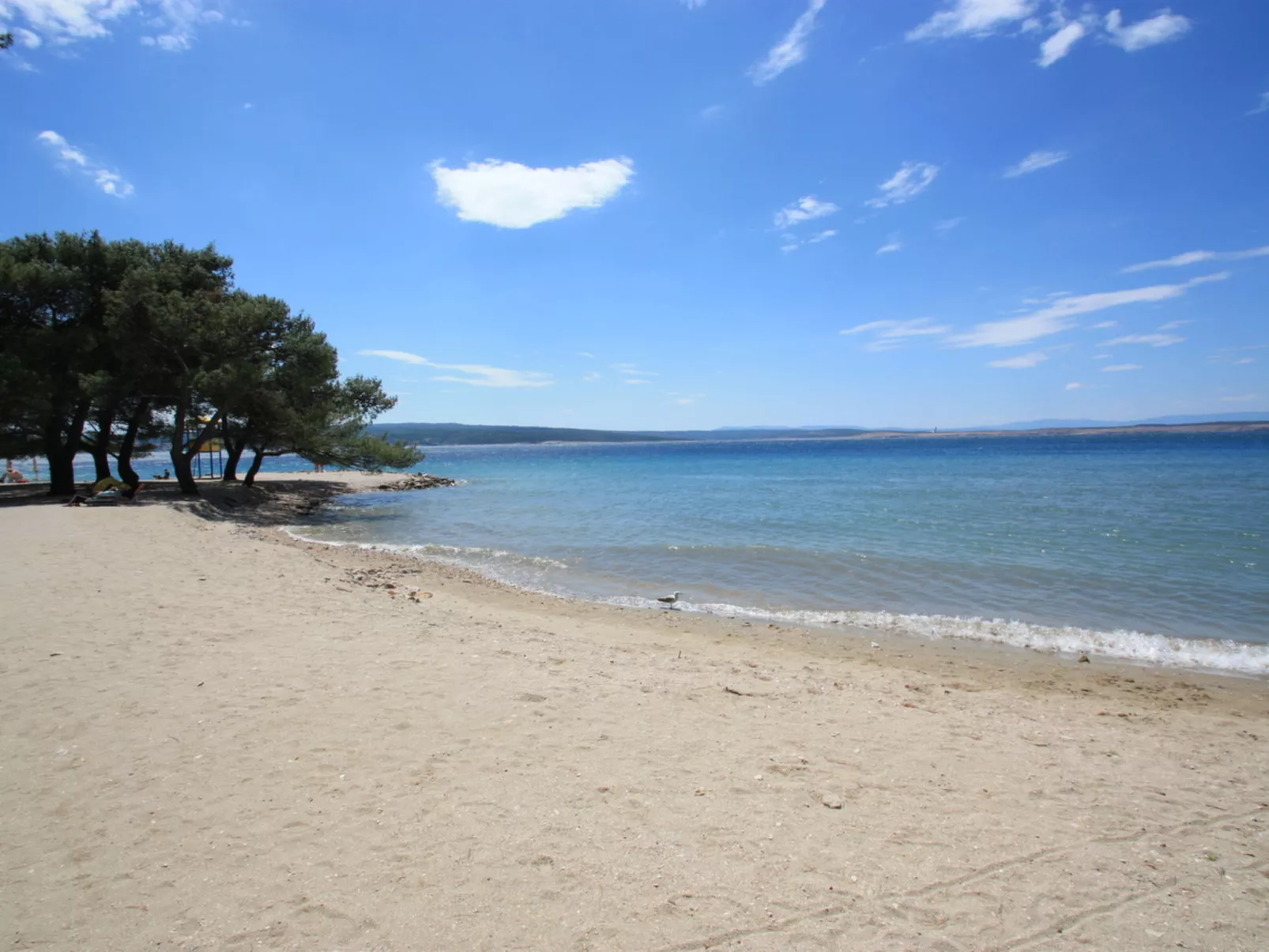 ANA KONI / HR-09966-01 - Image-tags.info