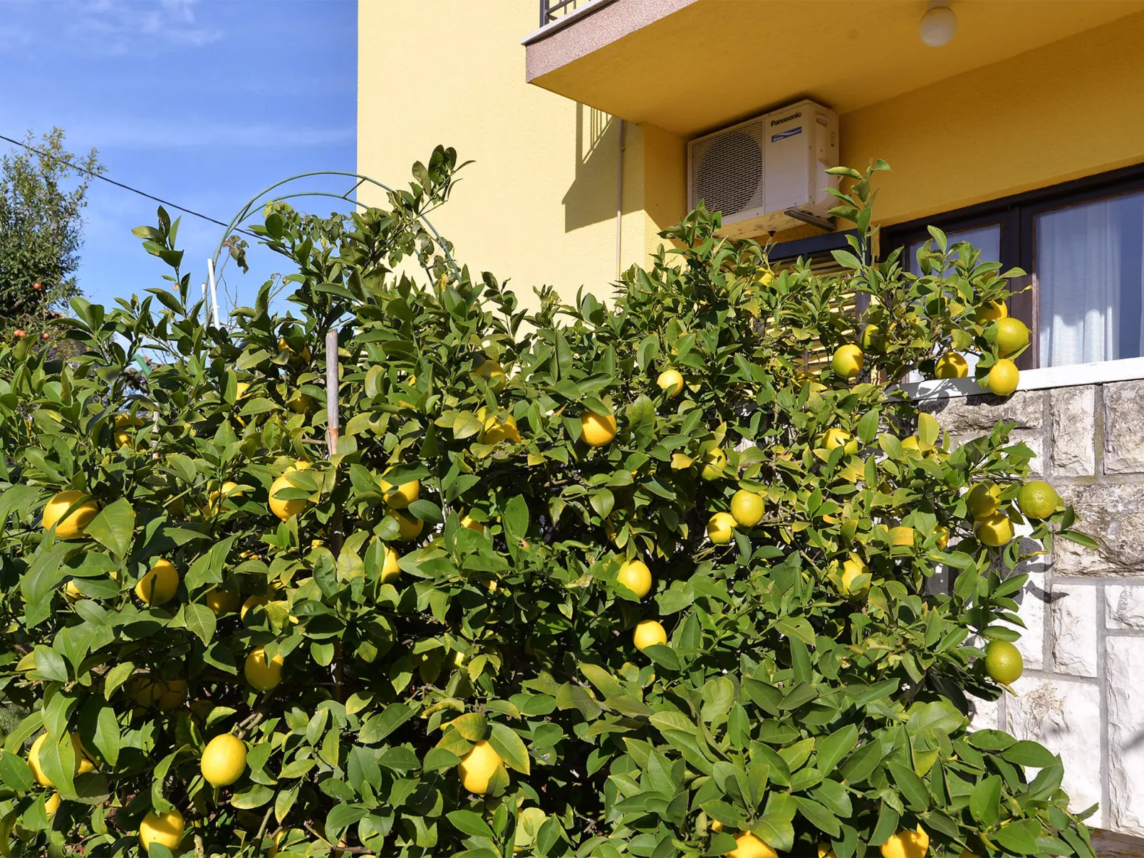 Apartment 1956 - Image-tags.info