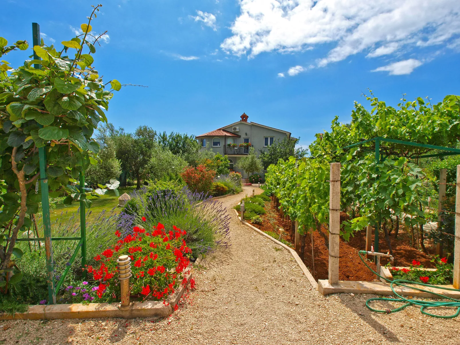 Apartment 1002 - Image-tags.info