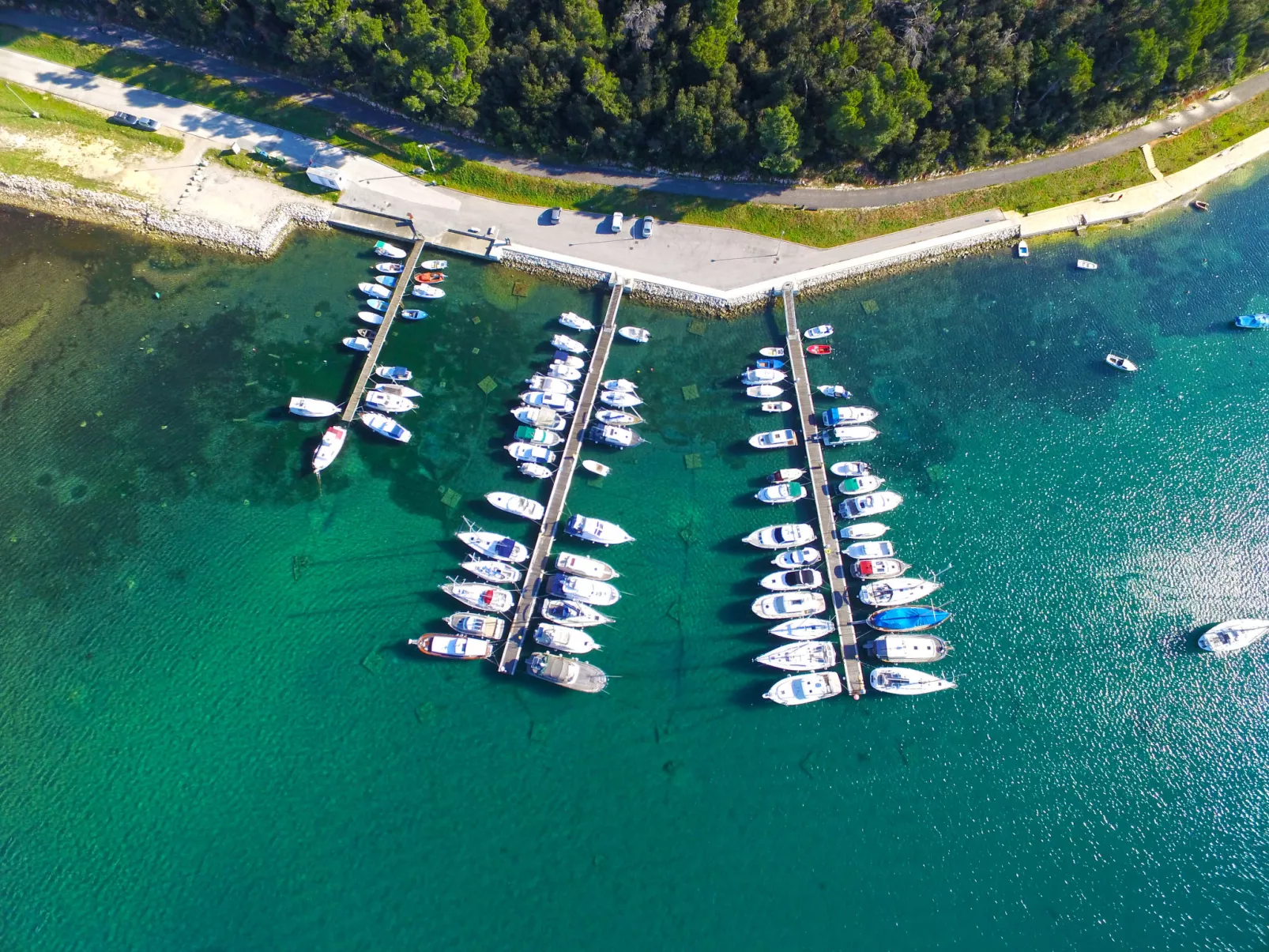 Apartment 1181 - Image-tags.info