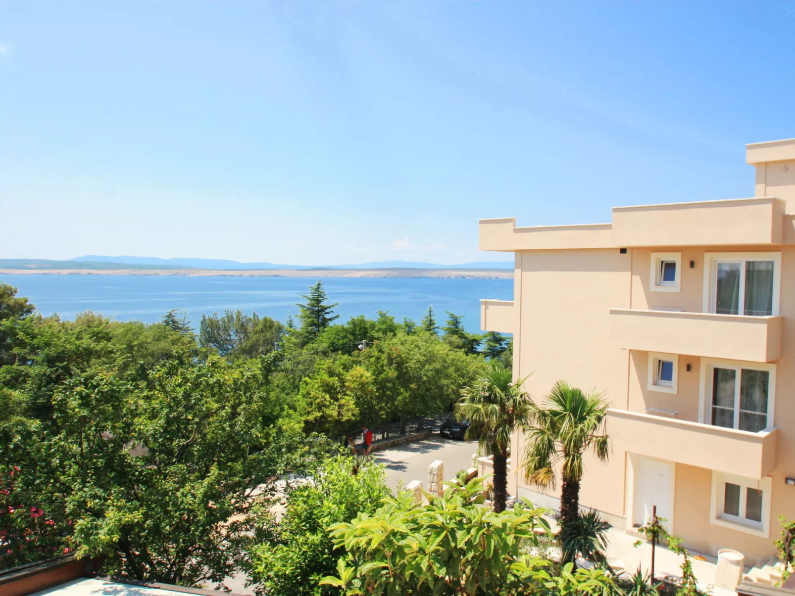 DOMINO Orange (8) / HR-09132-04 - Image-tags.info