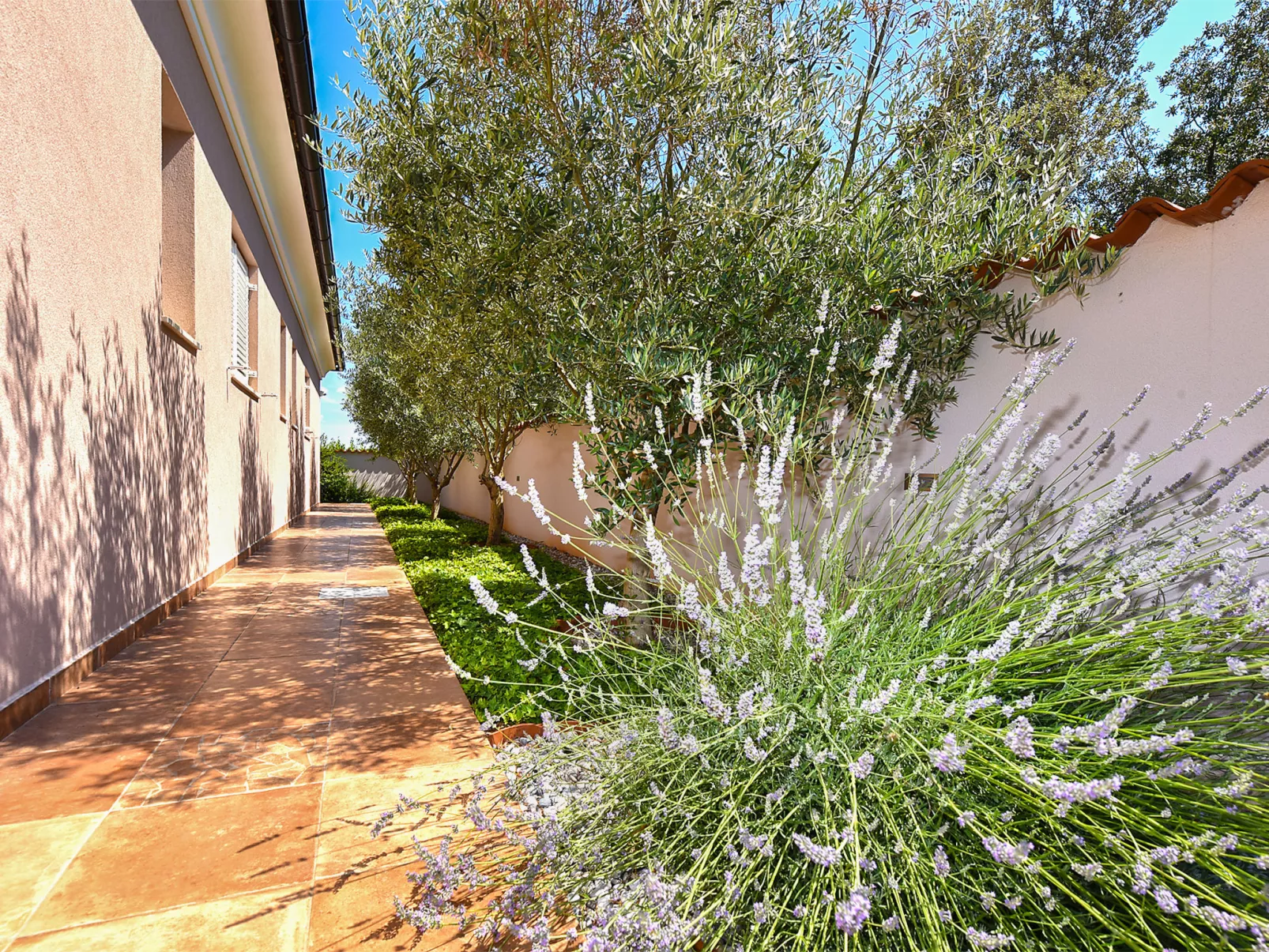 House 2269 - Image-tags.info