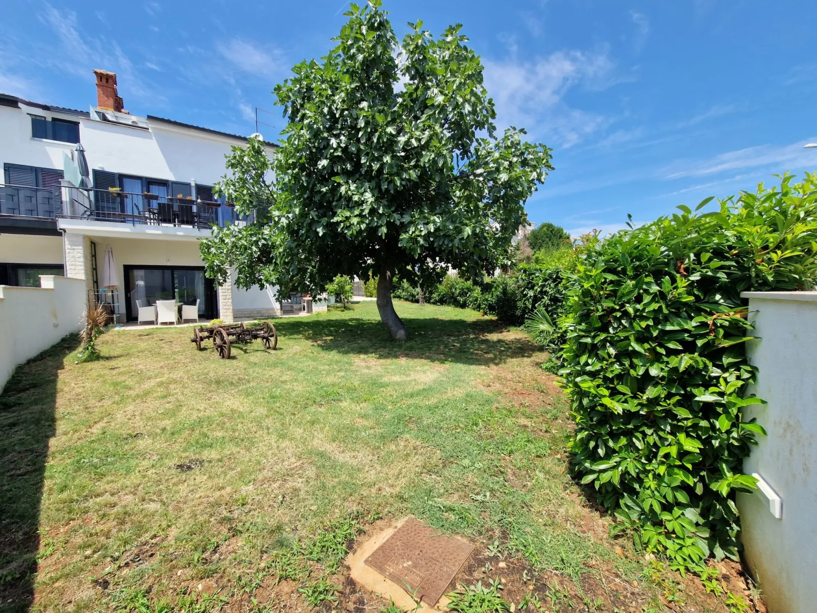 House Viola - Image-tags.info