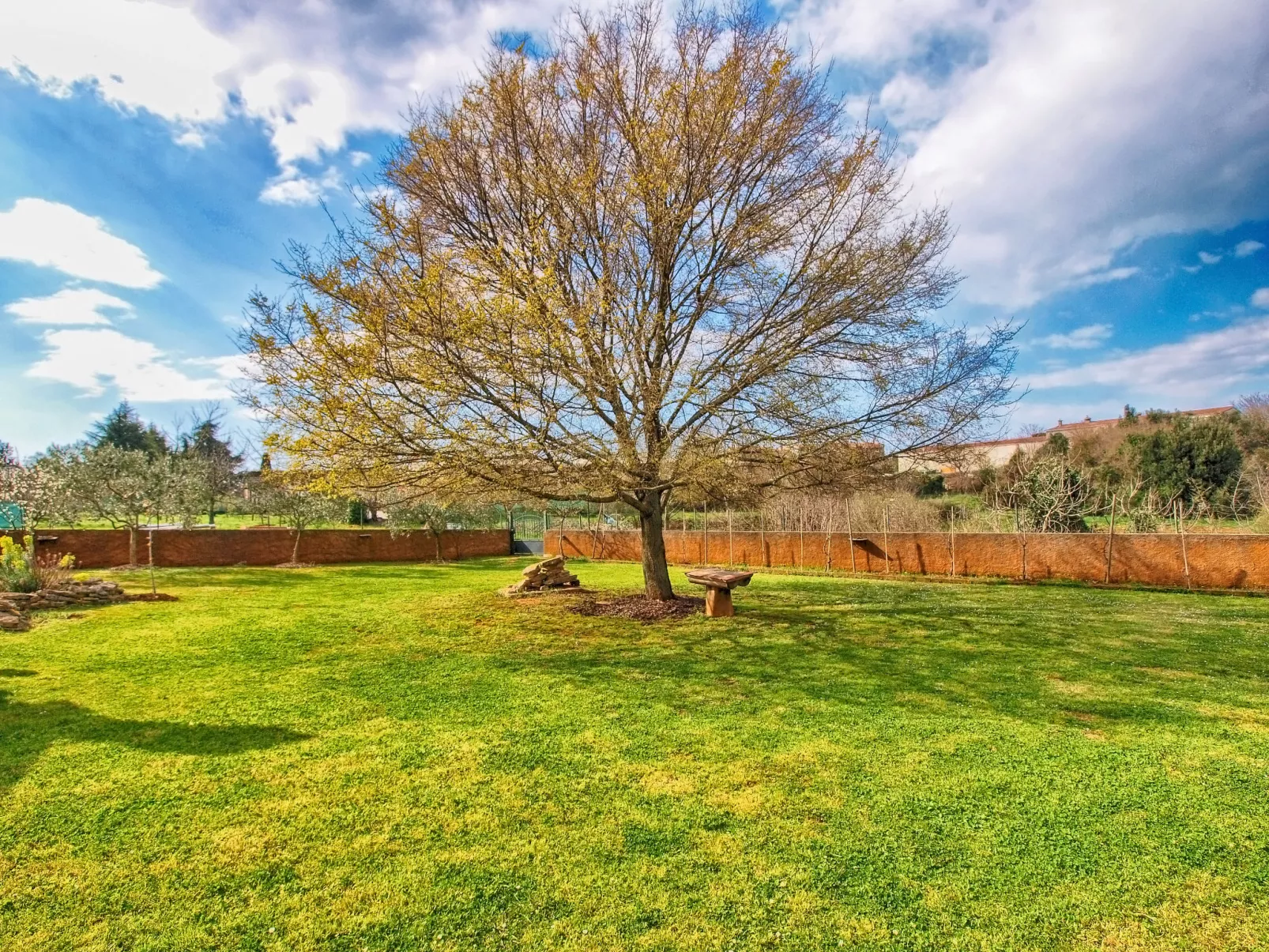 Apartment 1049 - Image-tags.info