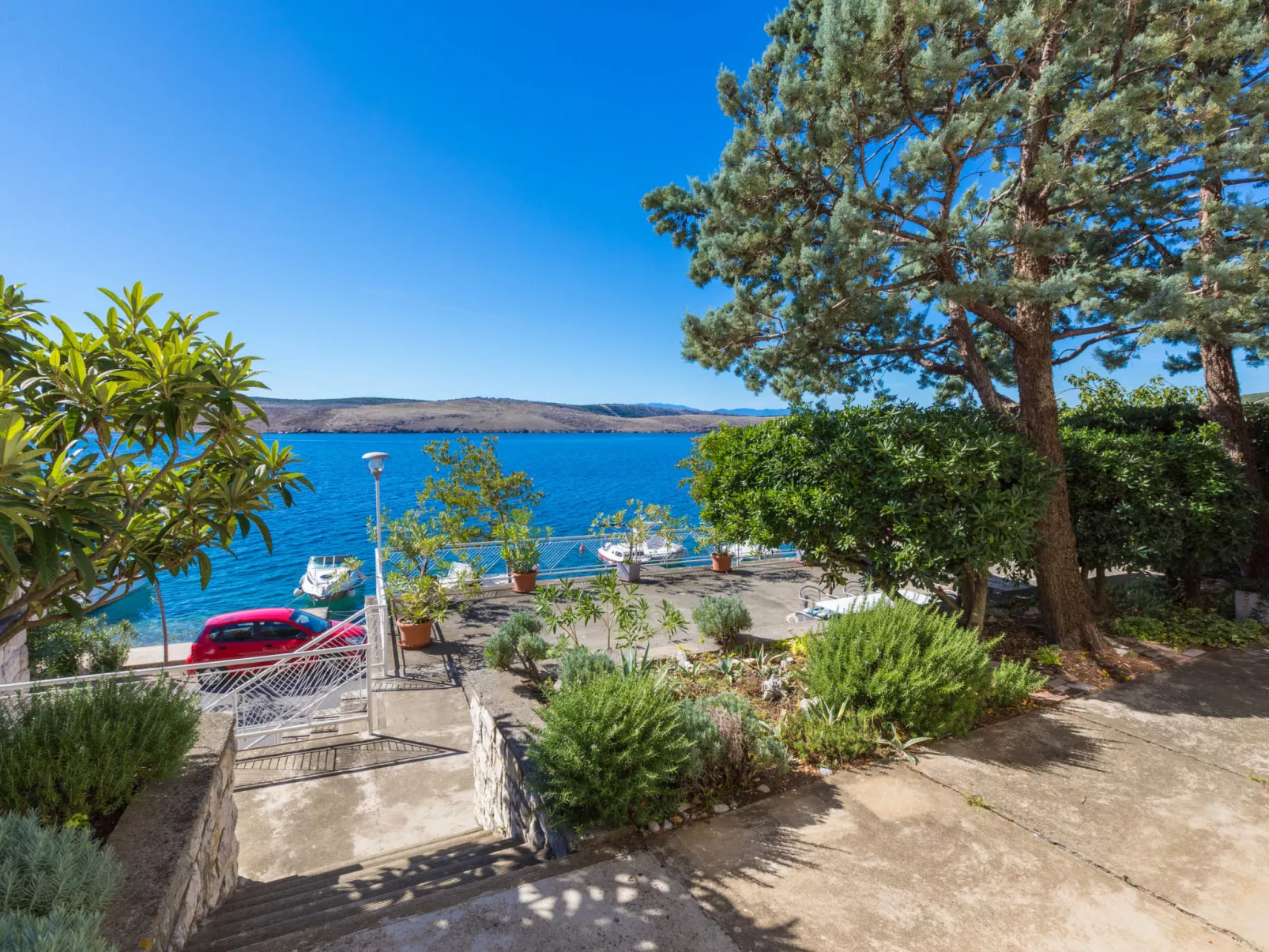 ANTONIA / HR-01846-01 - Image-tags.info