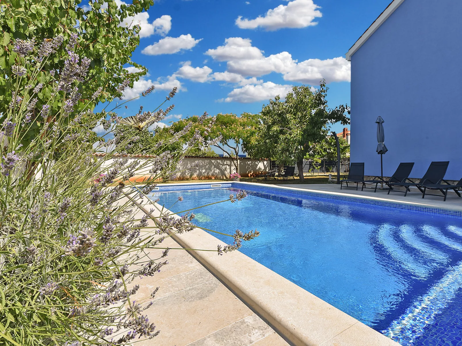 Apartment 2399 - Image-tags.info