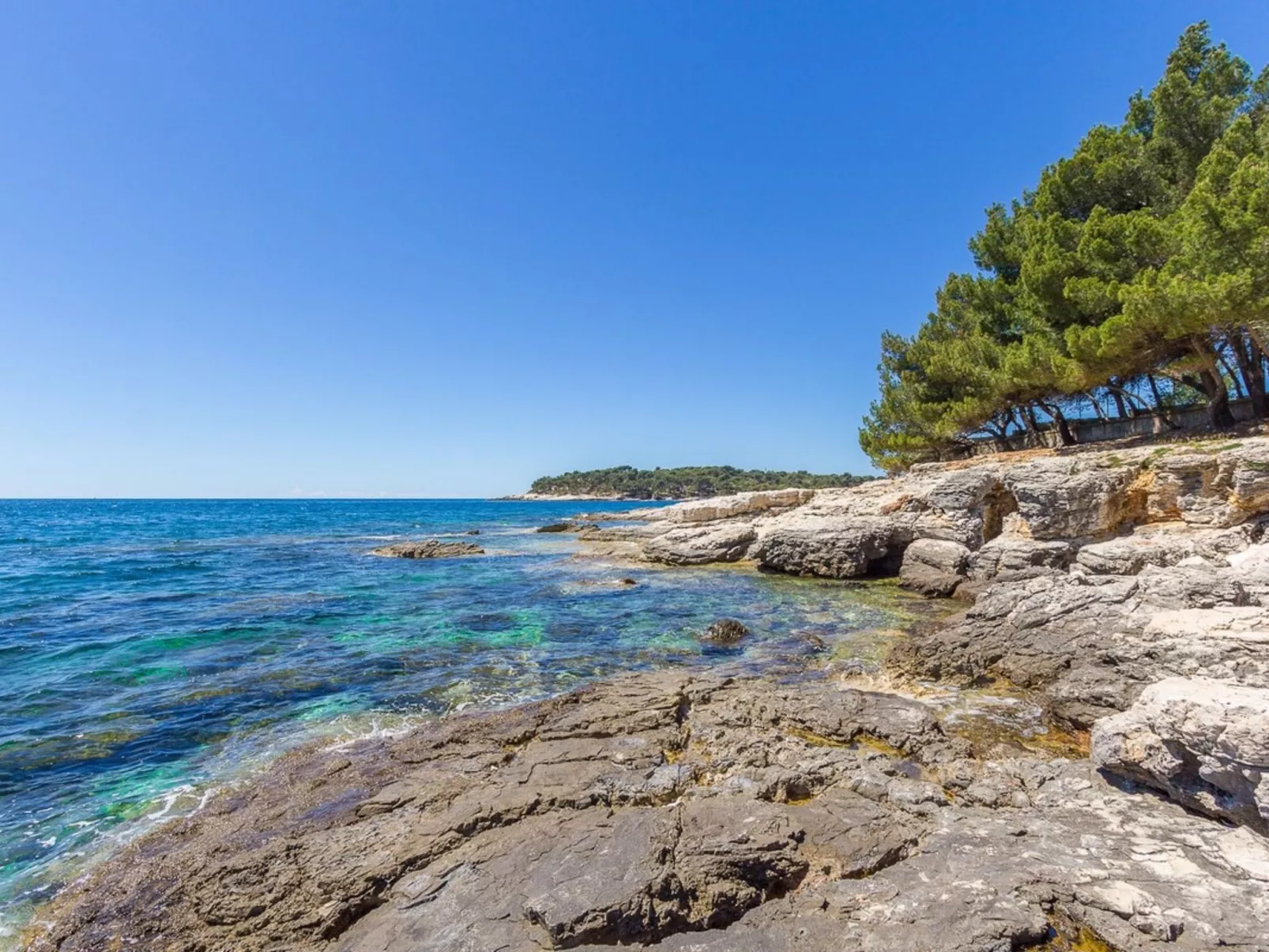 Valkane - Image-tags.info