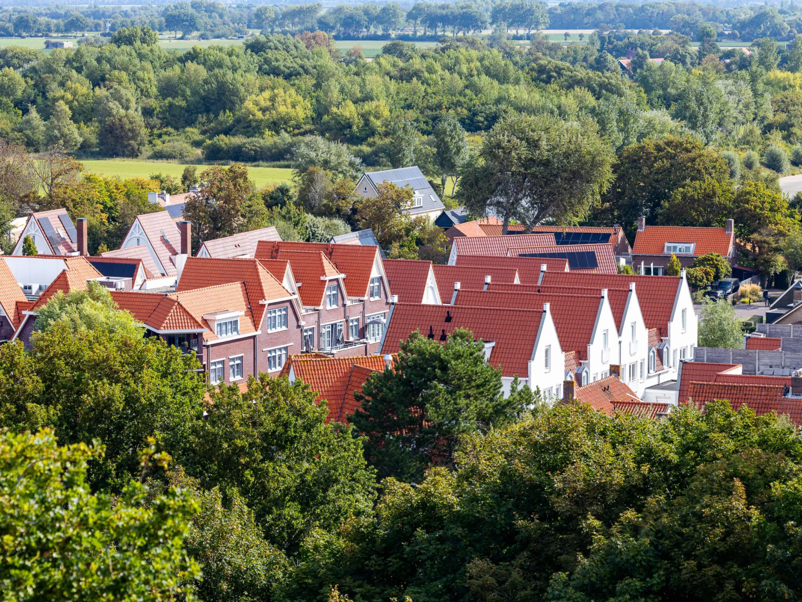 Duingroen H - Image-tags.info