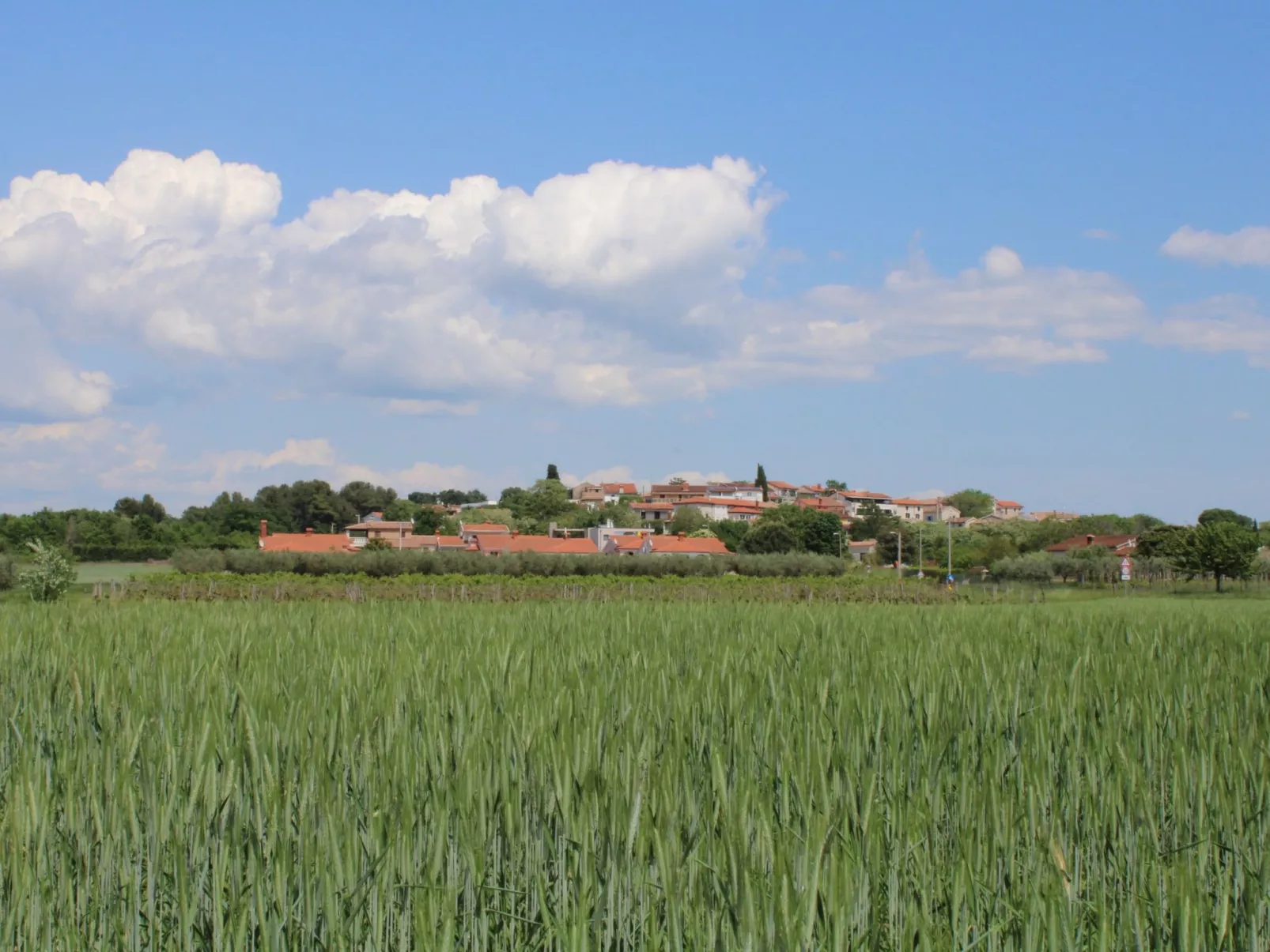 Villa Neela / HR-11039-01 - Image-tags.info