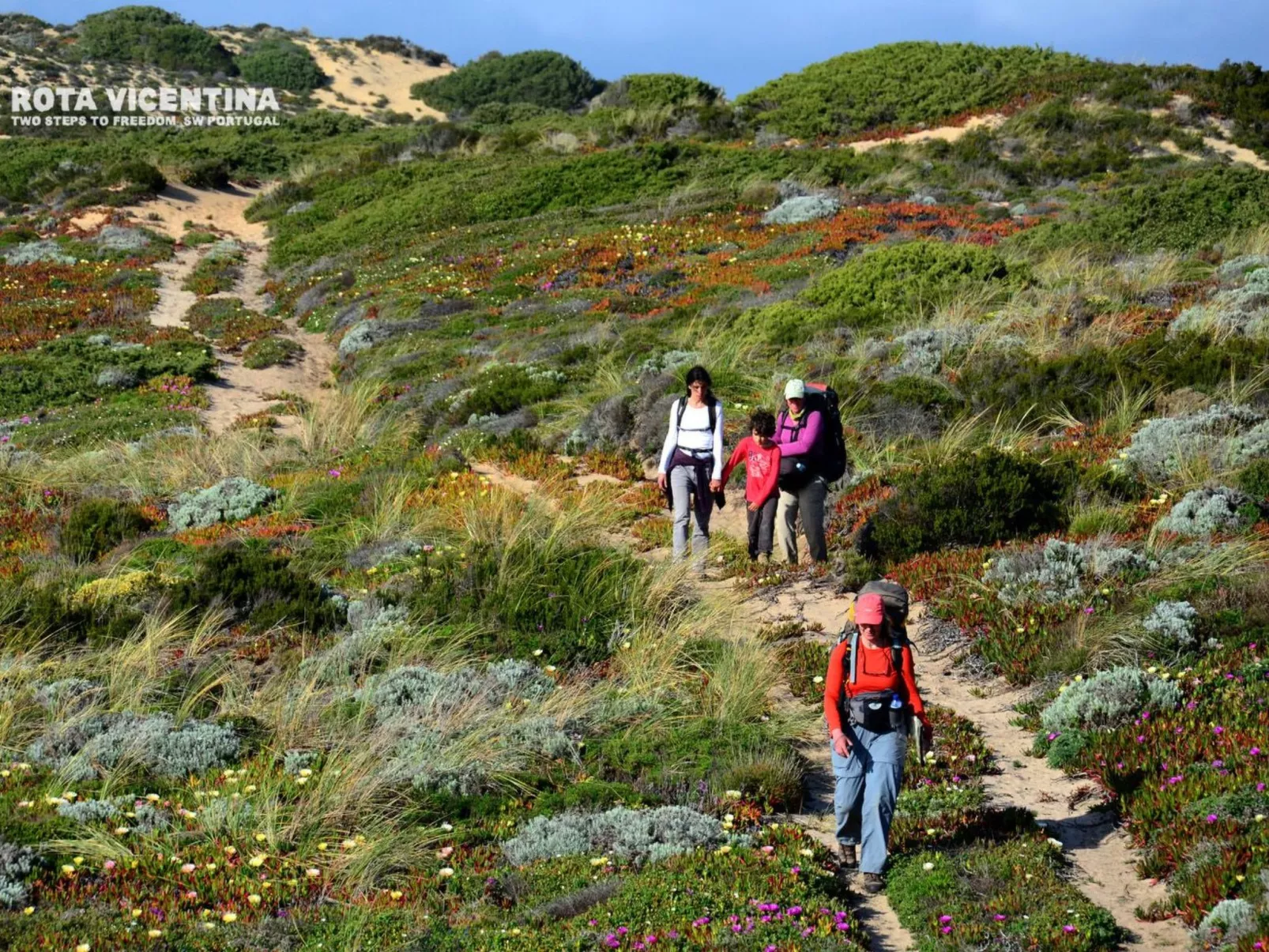 "The Natural Elements" - Image-tags.info