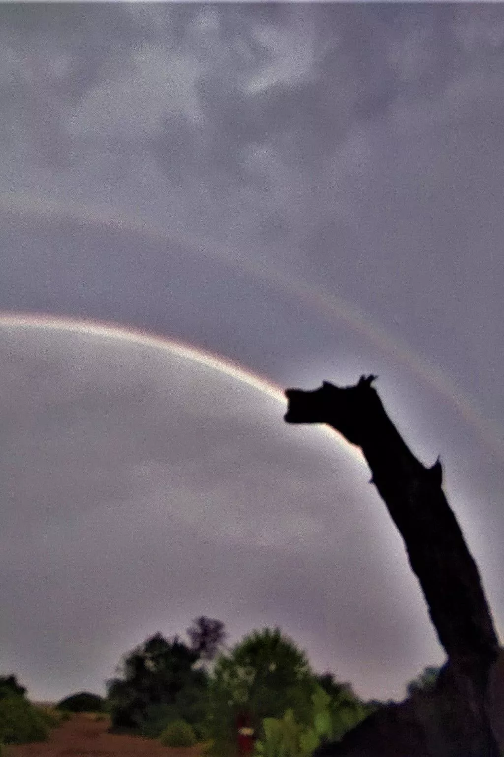 Luxuriöse Duplex-Wohnungen in Cirali - Buiten