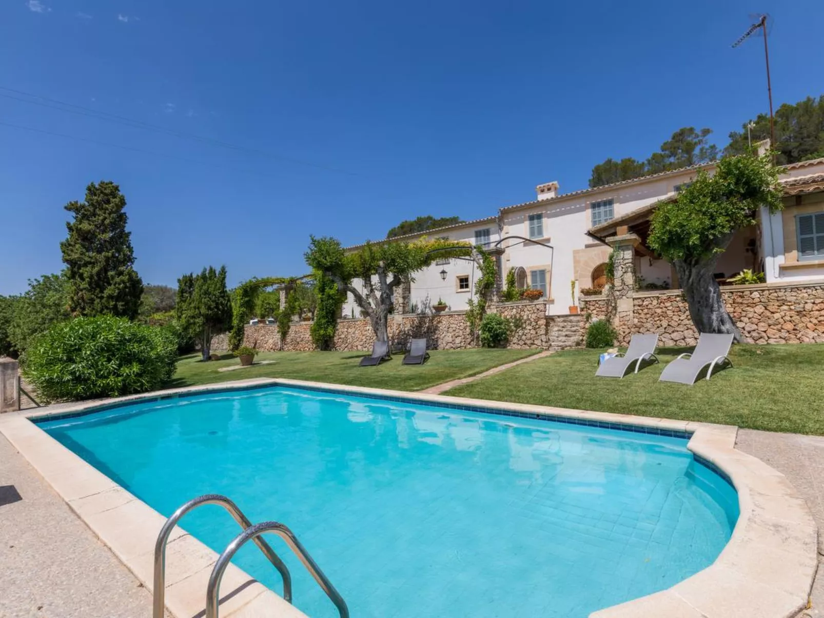 Baron 4 - Image-tags.info