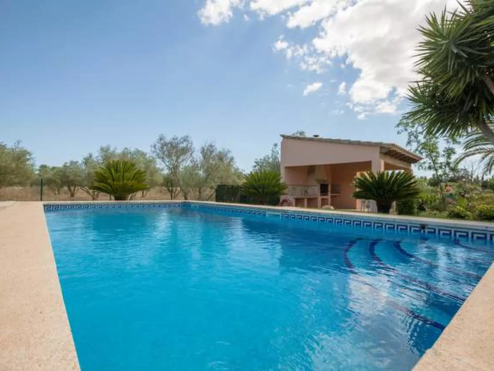 Mariposa - Image-tags.info