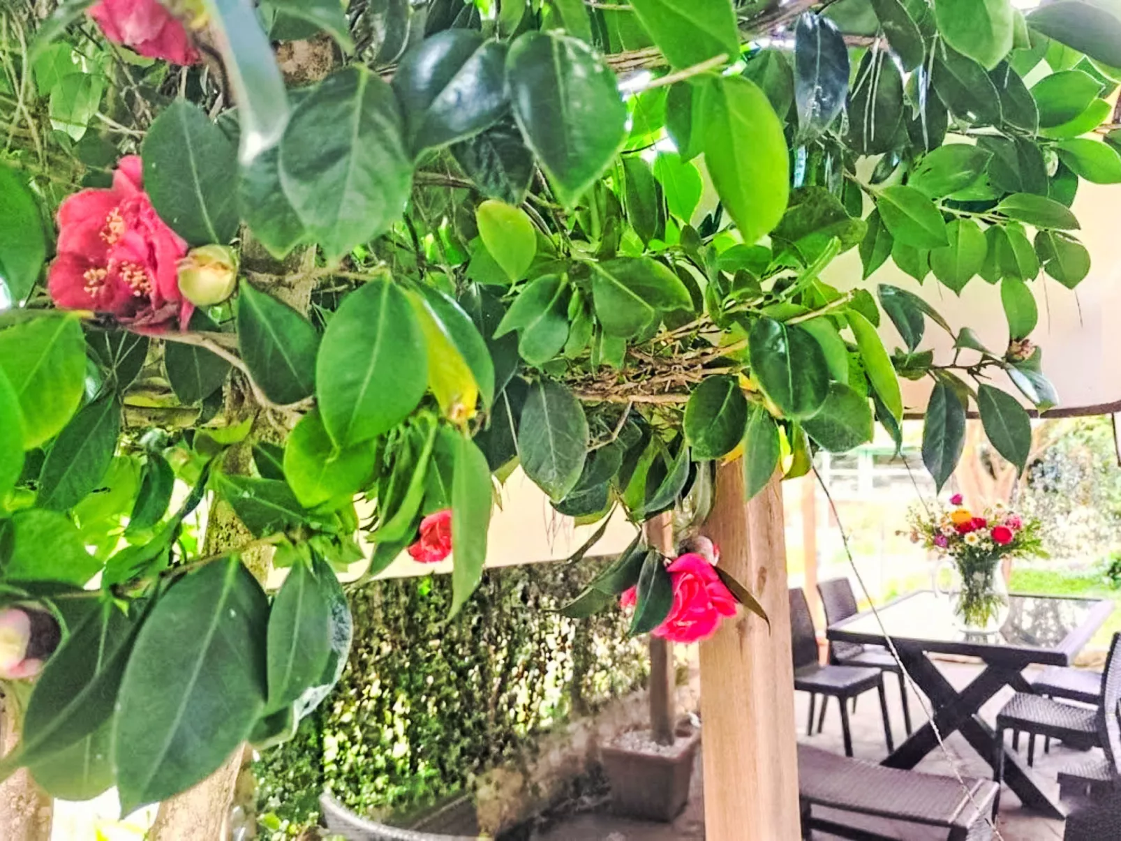 Atelier Vella - Buiten