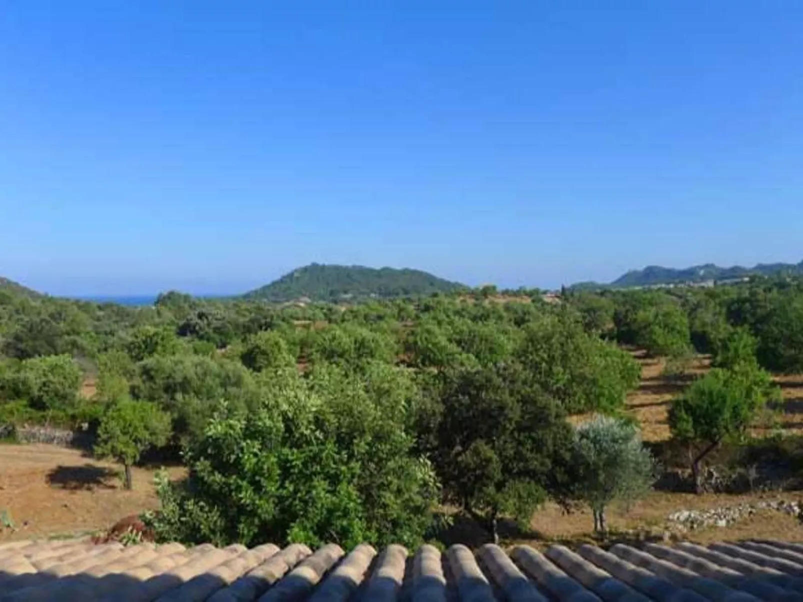 Finca 'Es Claper' mit privatem Fischteich - Buiten