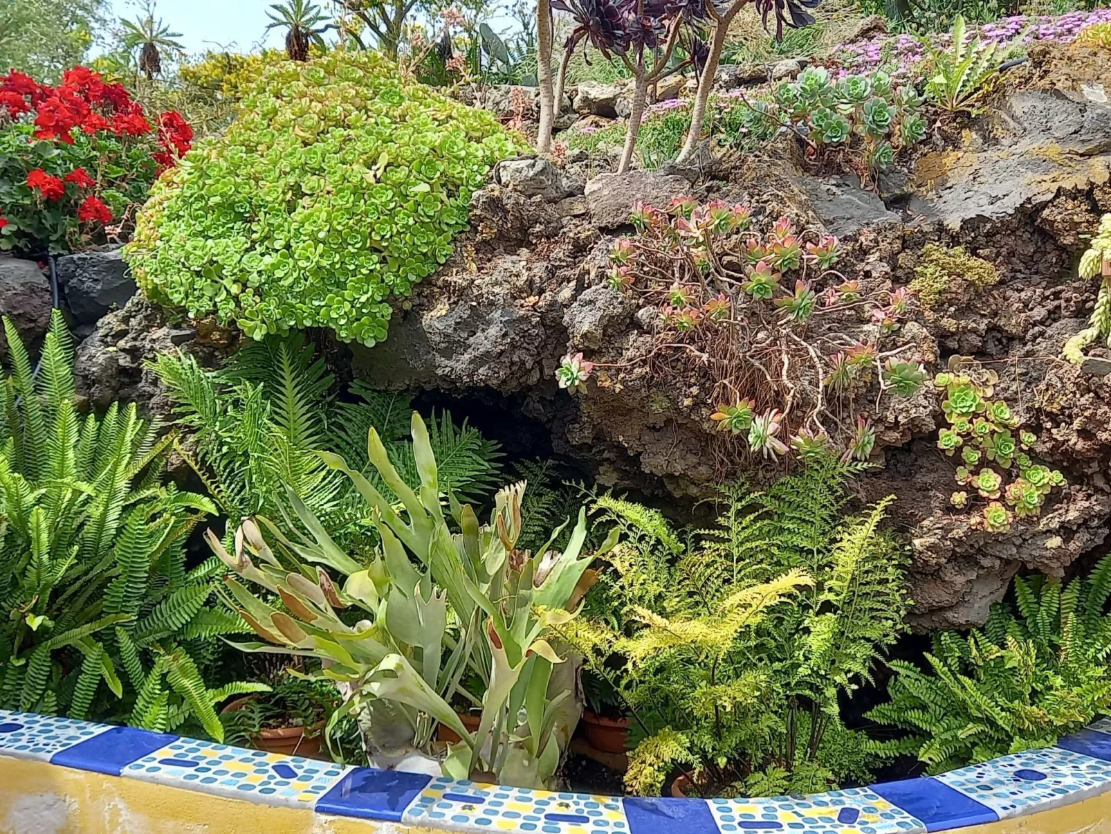 "Casa El Vallito" schönes Steinhaus - Buiten