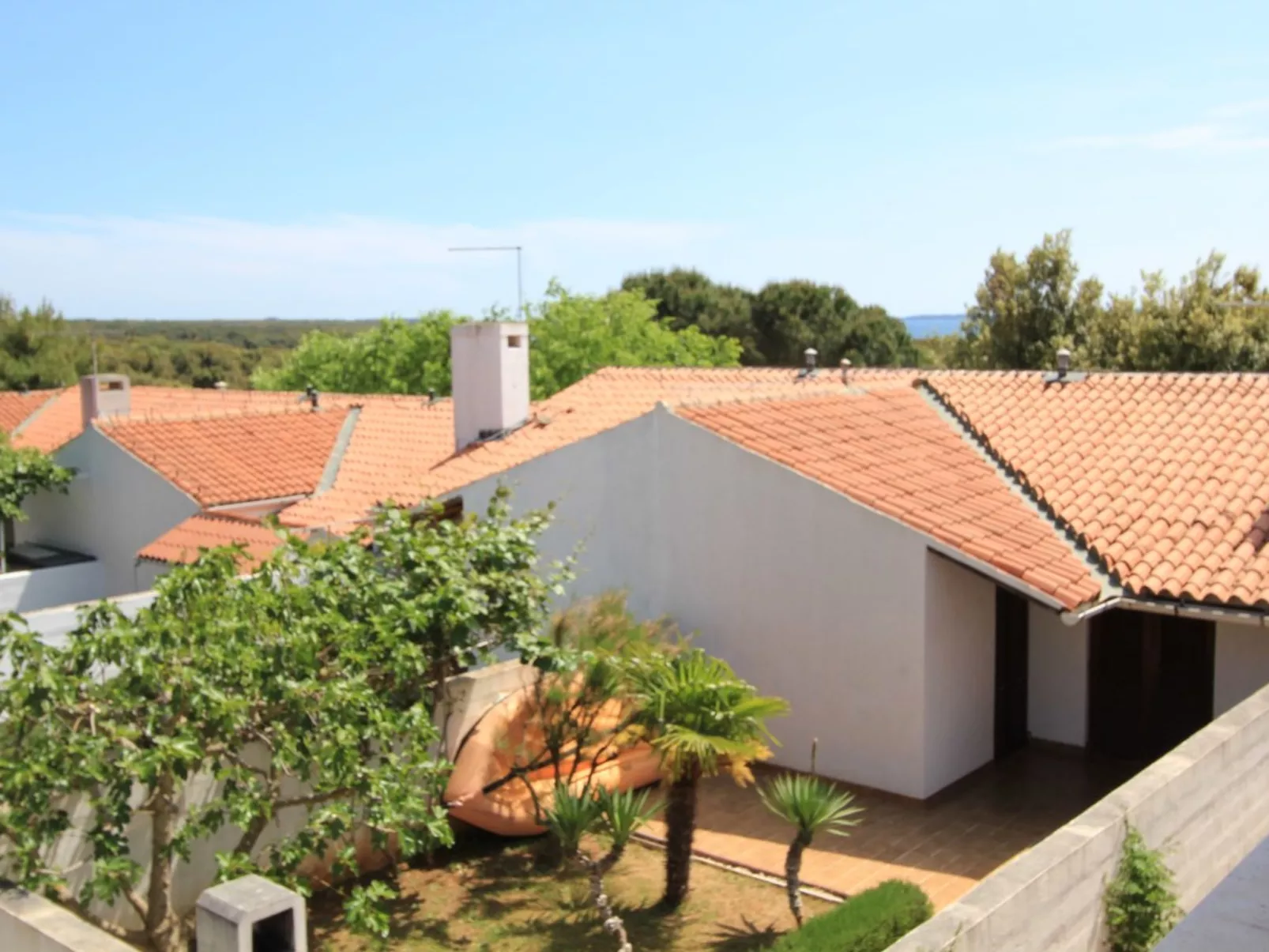 Mila - Image-tags.info