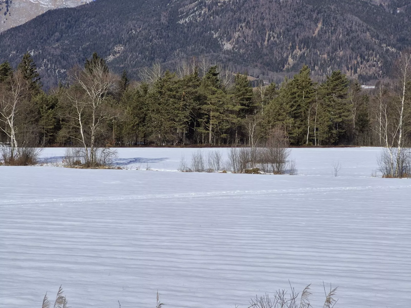 Wohnung Garten 1 Seeblick - Buiten