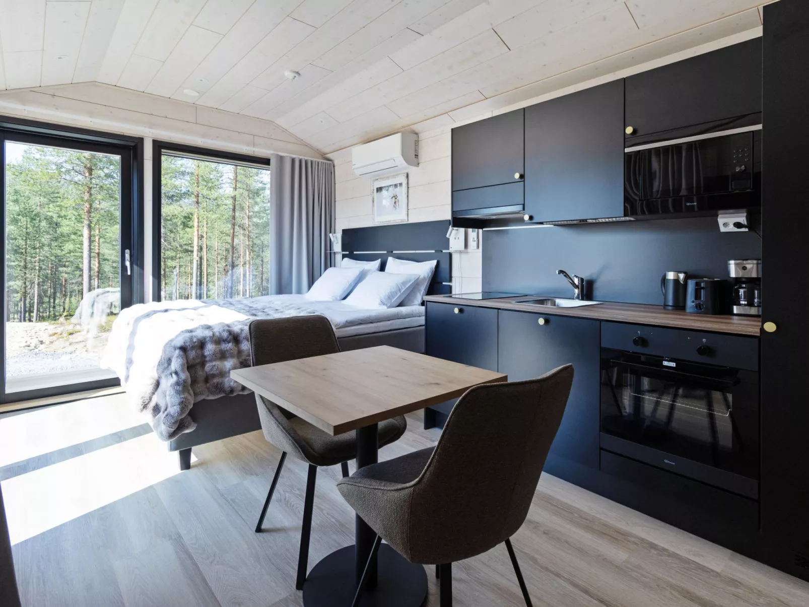 Visit pyhä cabins f - Binnen