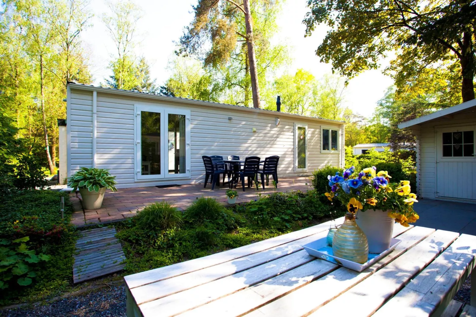 Resort Hooge Veluwe 13-Buitenkant zomer