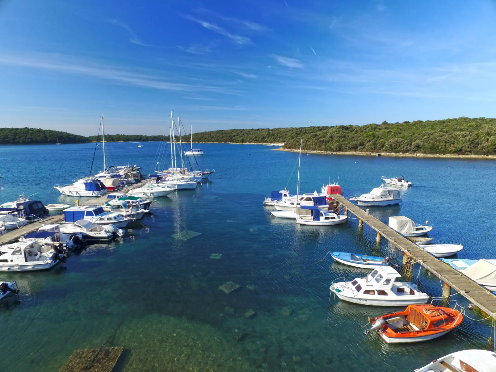 Apartment 1531 - Image-tags.info