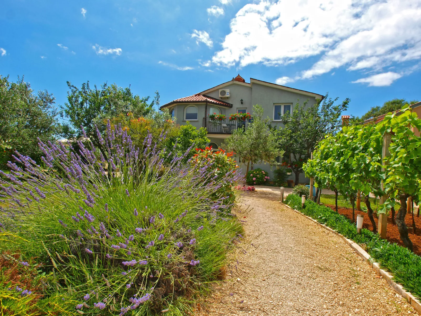 Apartment 1002 - Image-tags.info