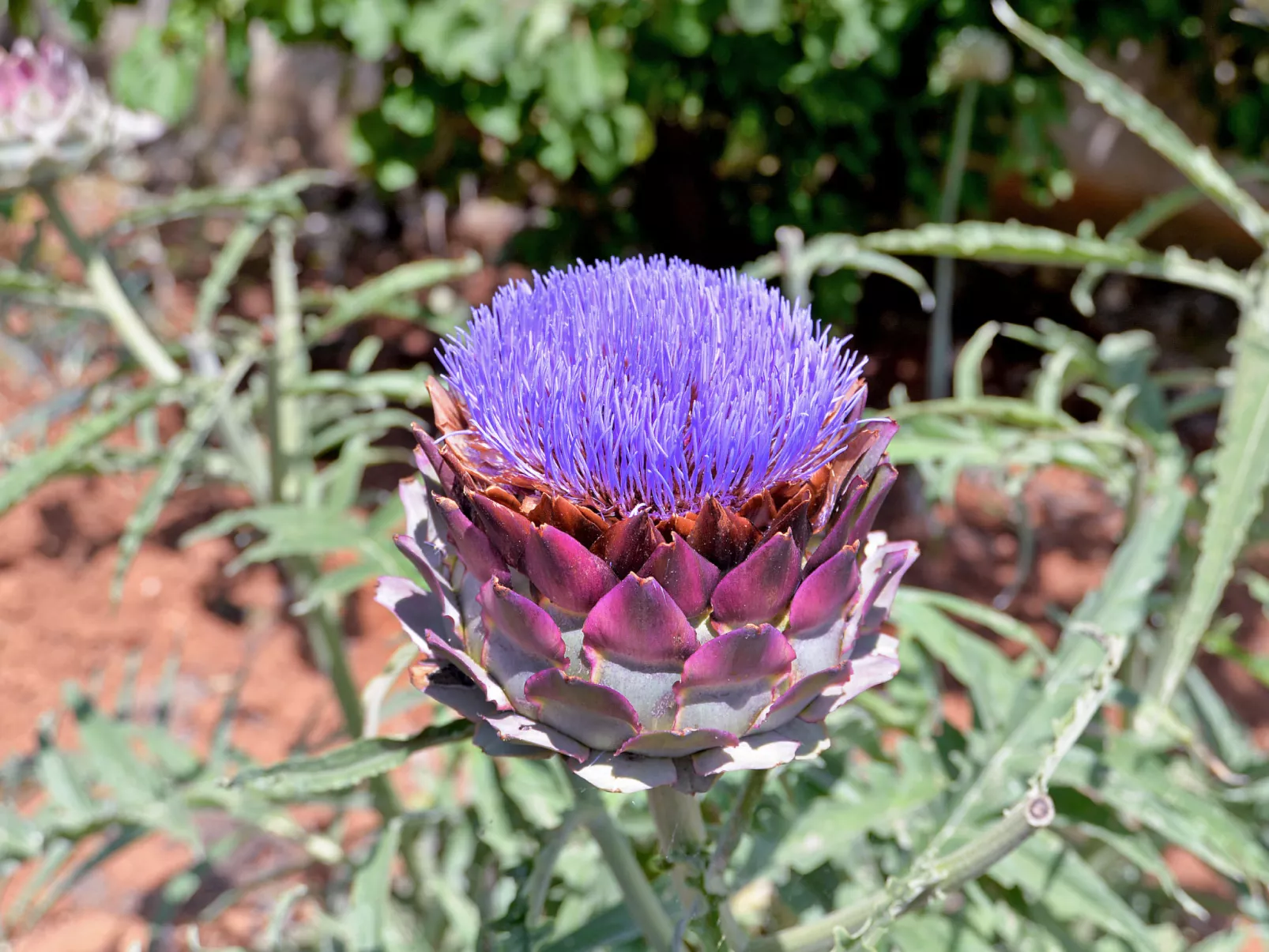 Apartment 378 - Image-tags.info