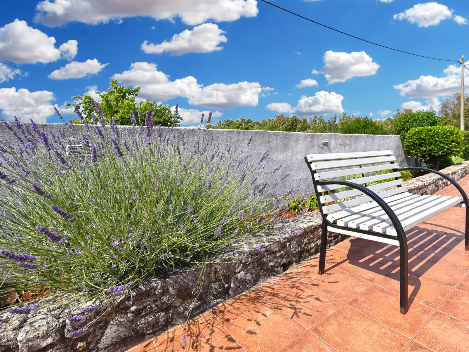 House 2370 - Image-tags.info