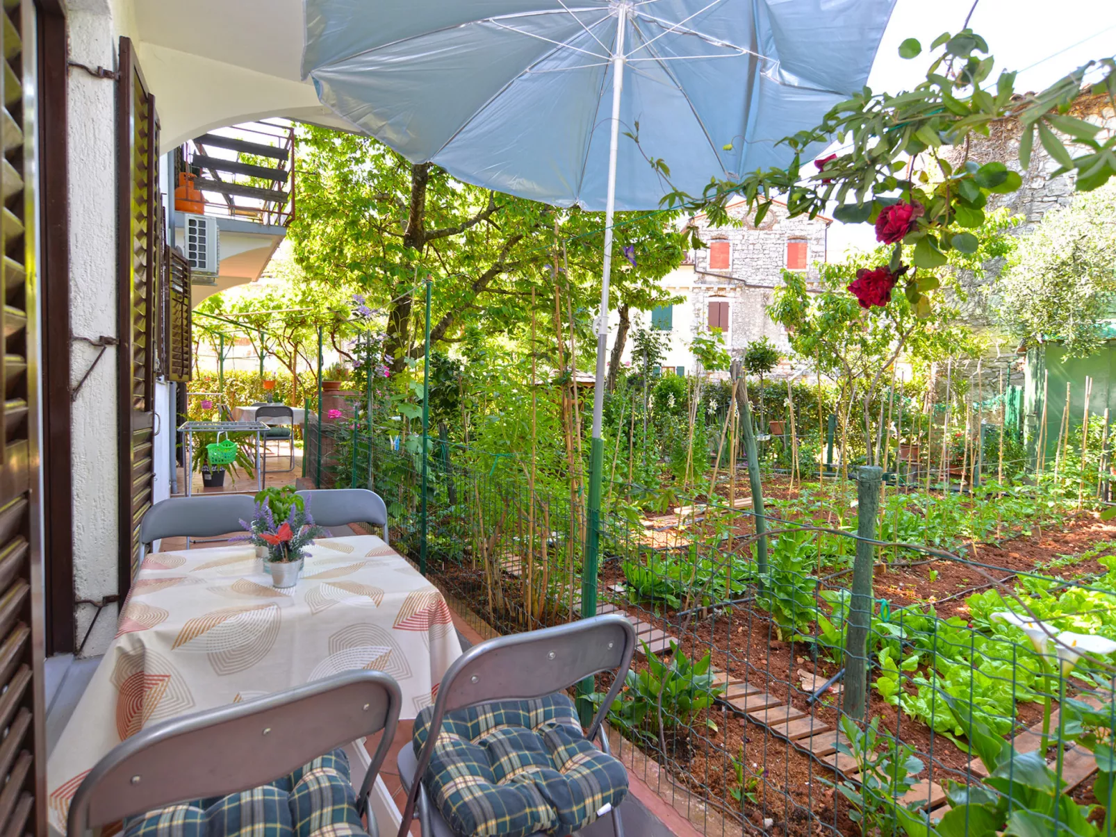 Apartment 358 - Image-tags.info