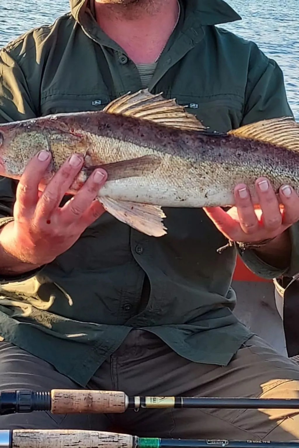 Cottage mit Whirlpool - Image-tags.info