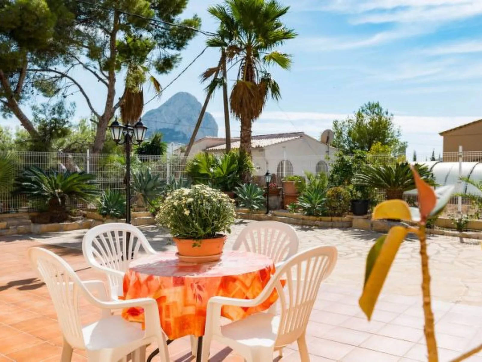 Villa Amelia - Plus - Image-tags.info