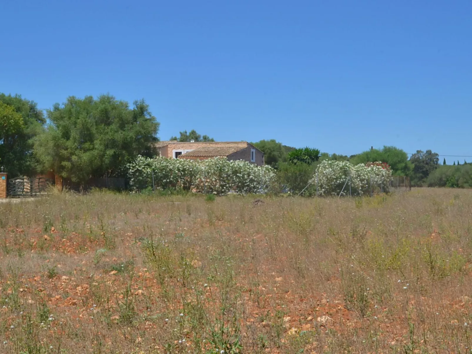 Wunderschönes Landhaus im Landhausstil mit Pool am Ortsrand von Felanitx - Buiten