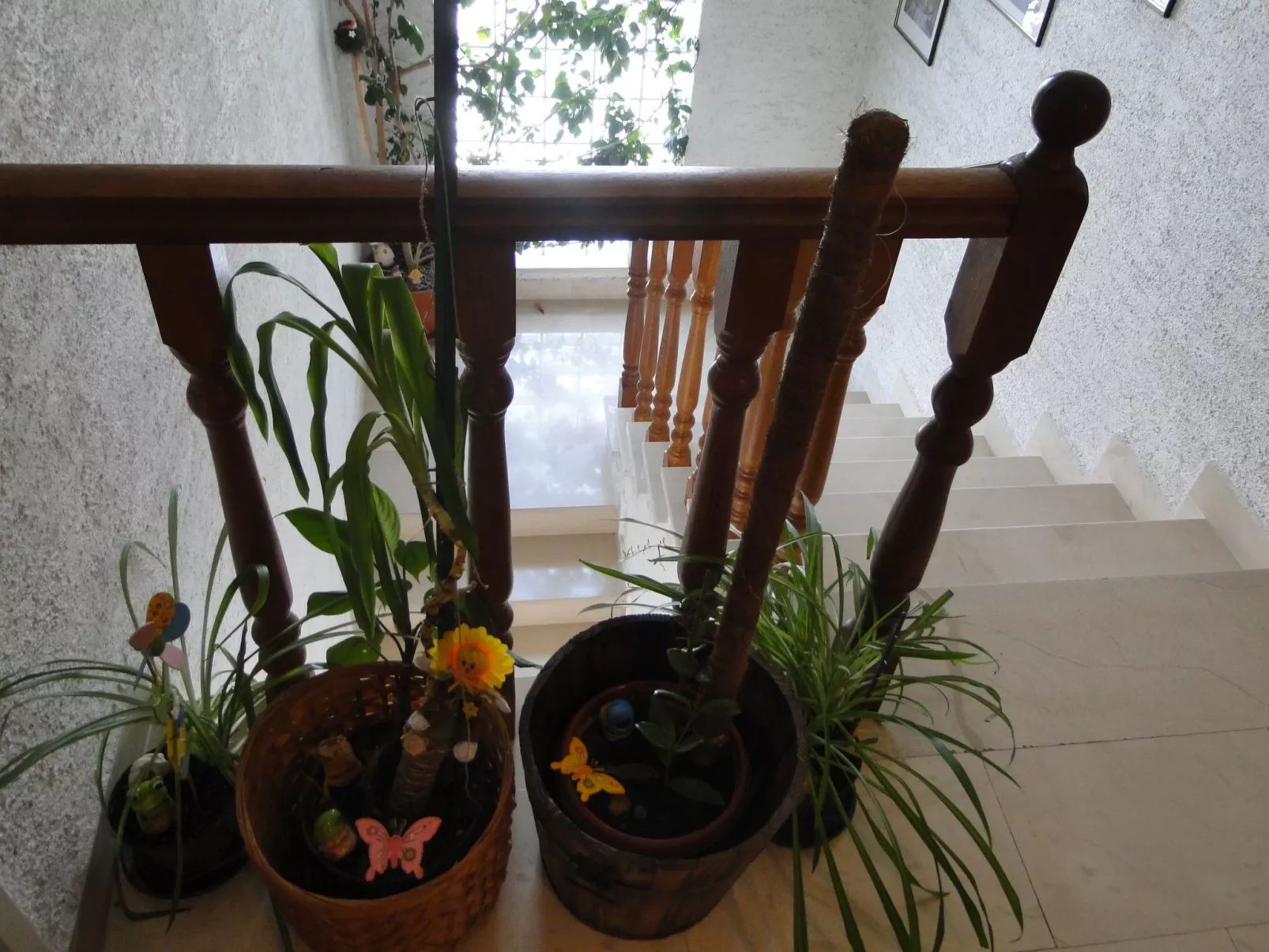 Zimmer Radojka 1 - Image-tags.info