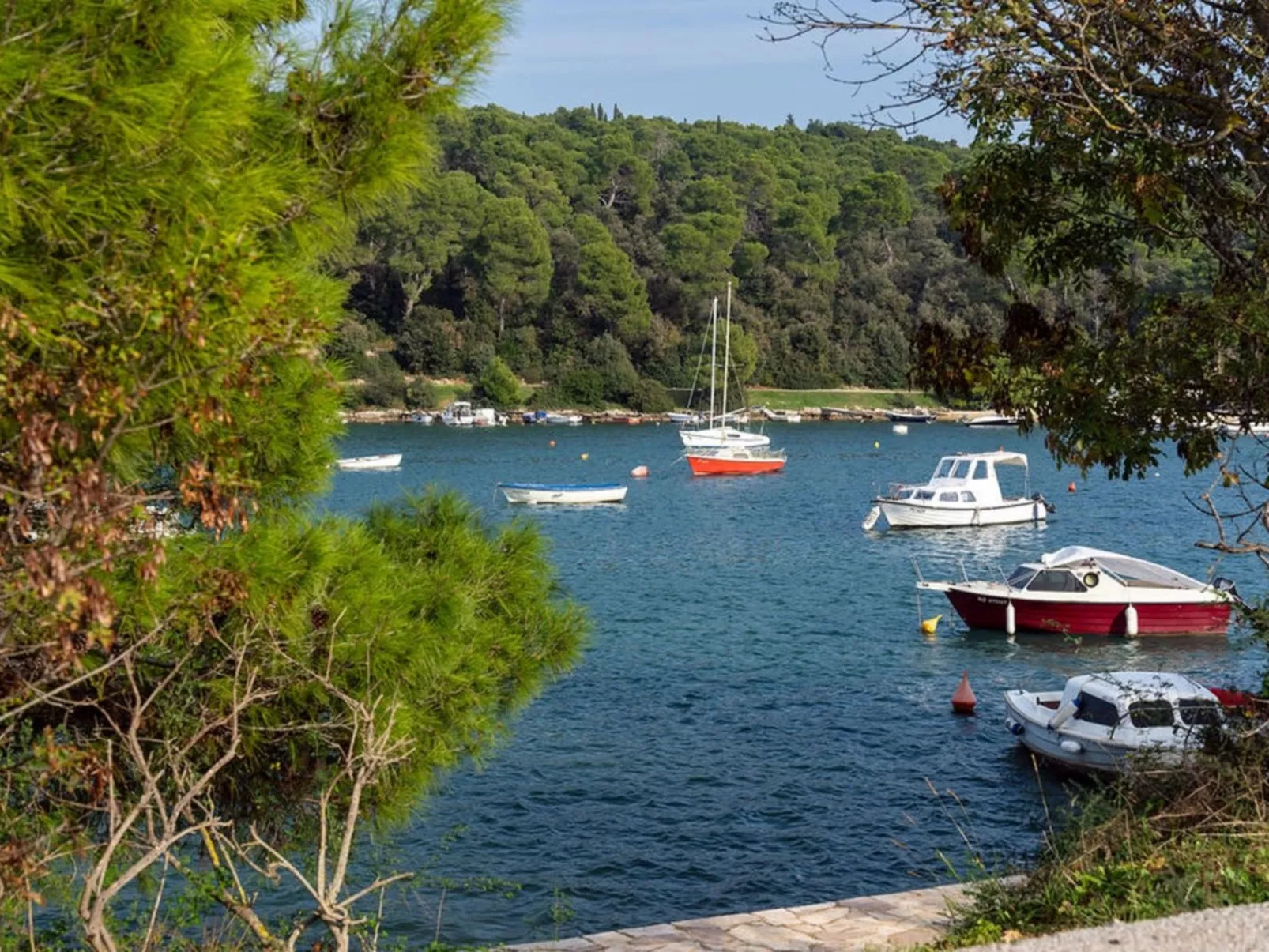 Erla - Image-tags.info