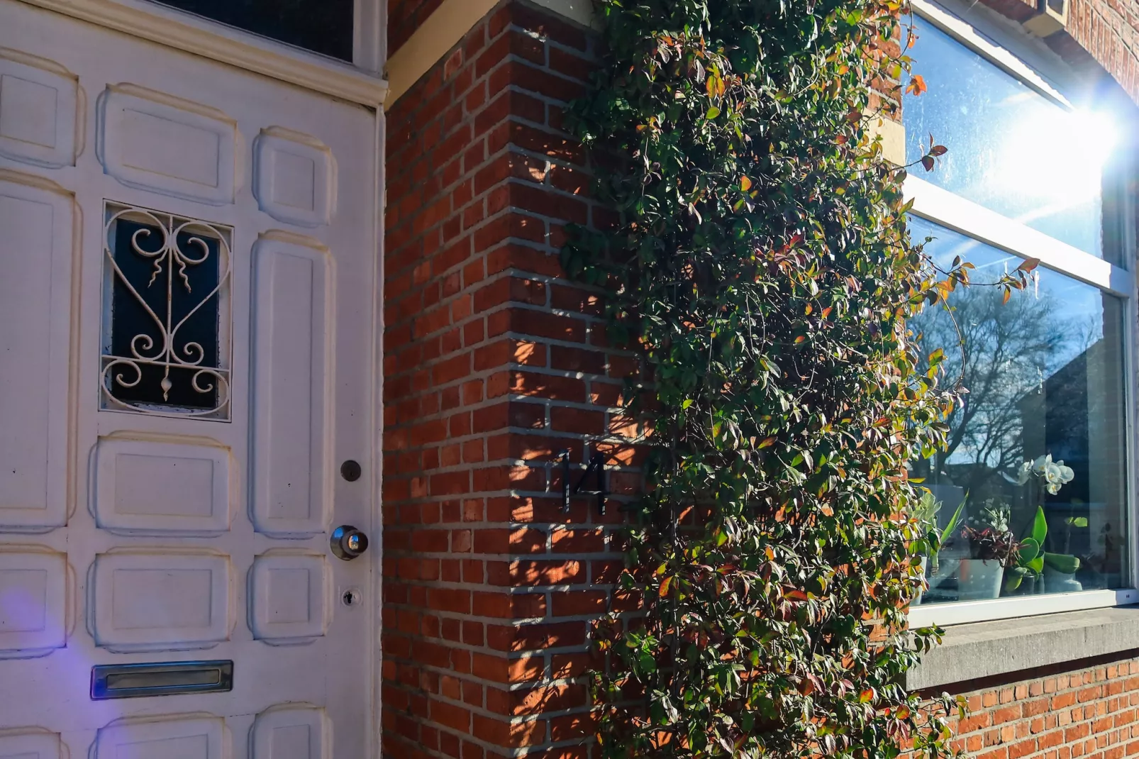 Cosy Courtyard House Hasselt - Buitenkant zomer