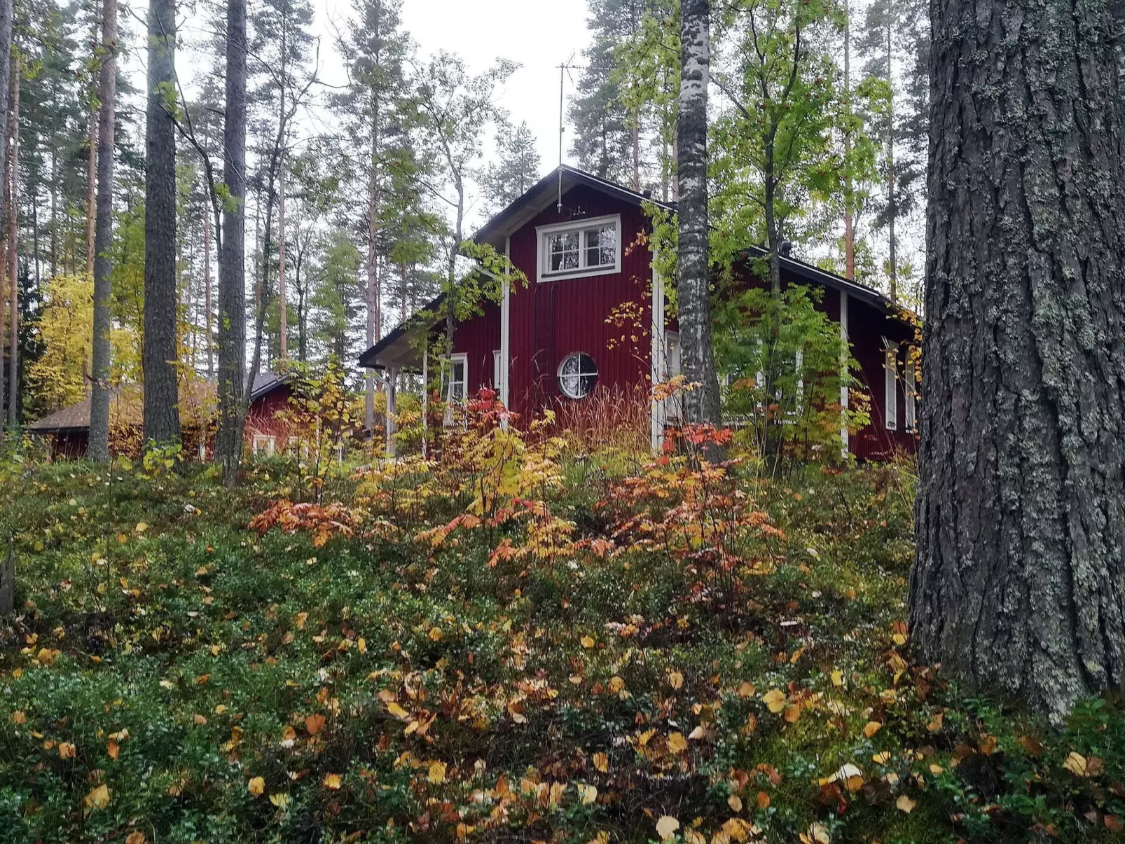 Villa raita - Binnen