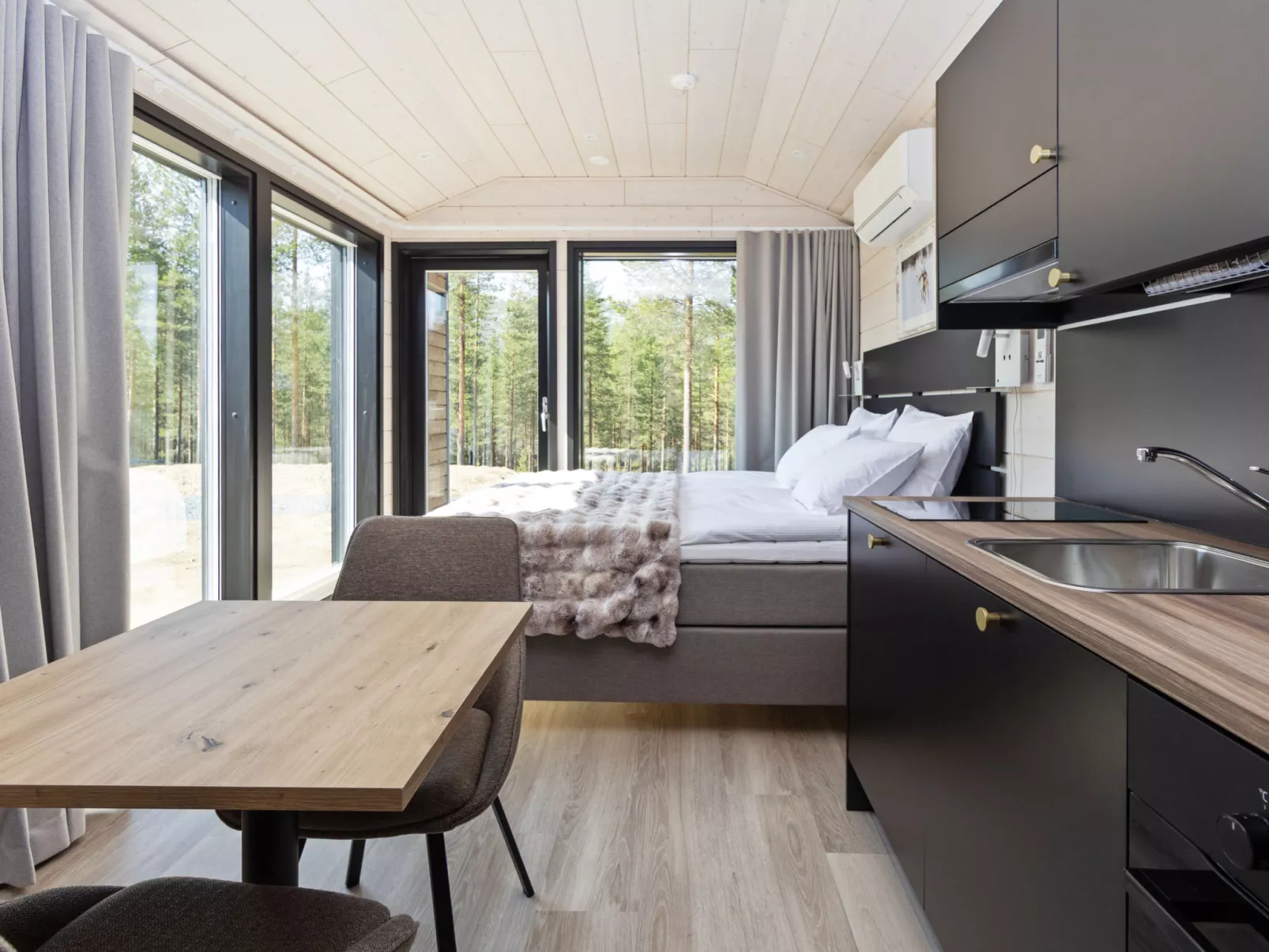 Visit pyhä cabins f - Binnen