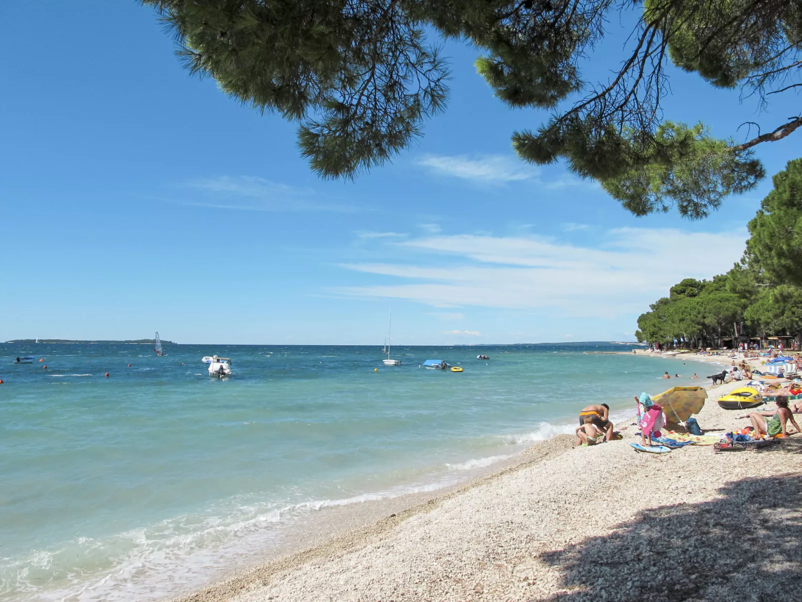 House 2233 - Omgeving