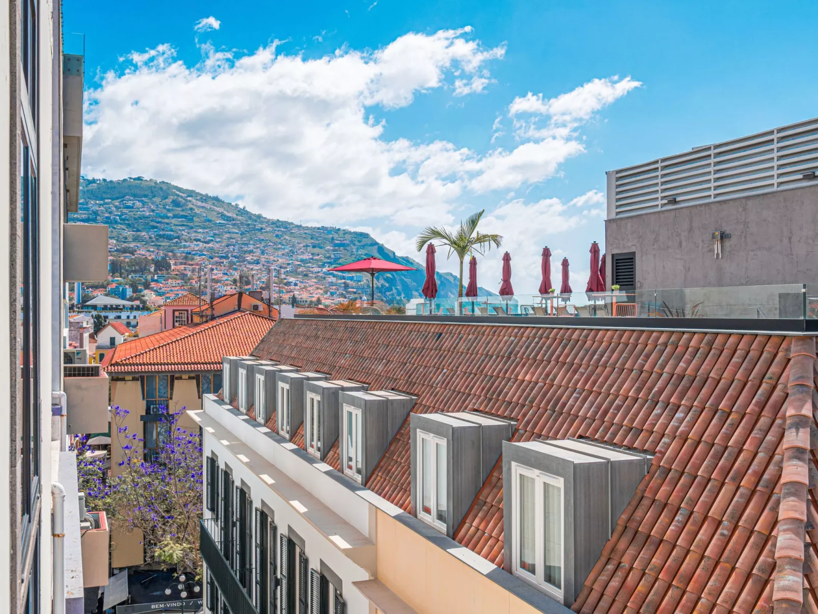 Herz-Altstadt-Zentrum Wohnung 5 STARS - Buiten