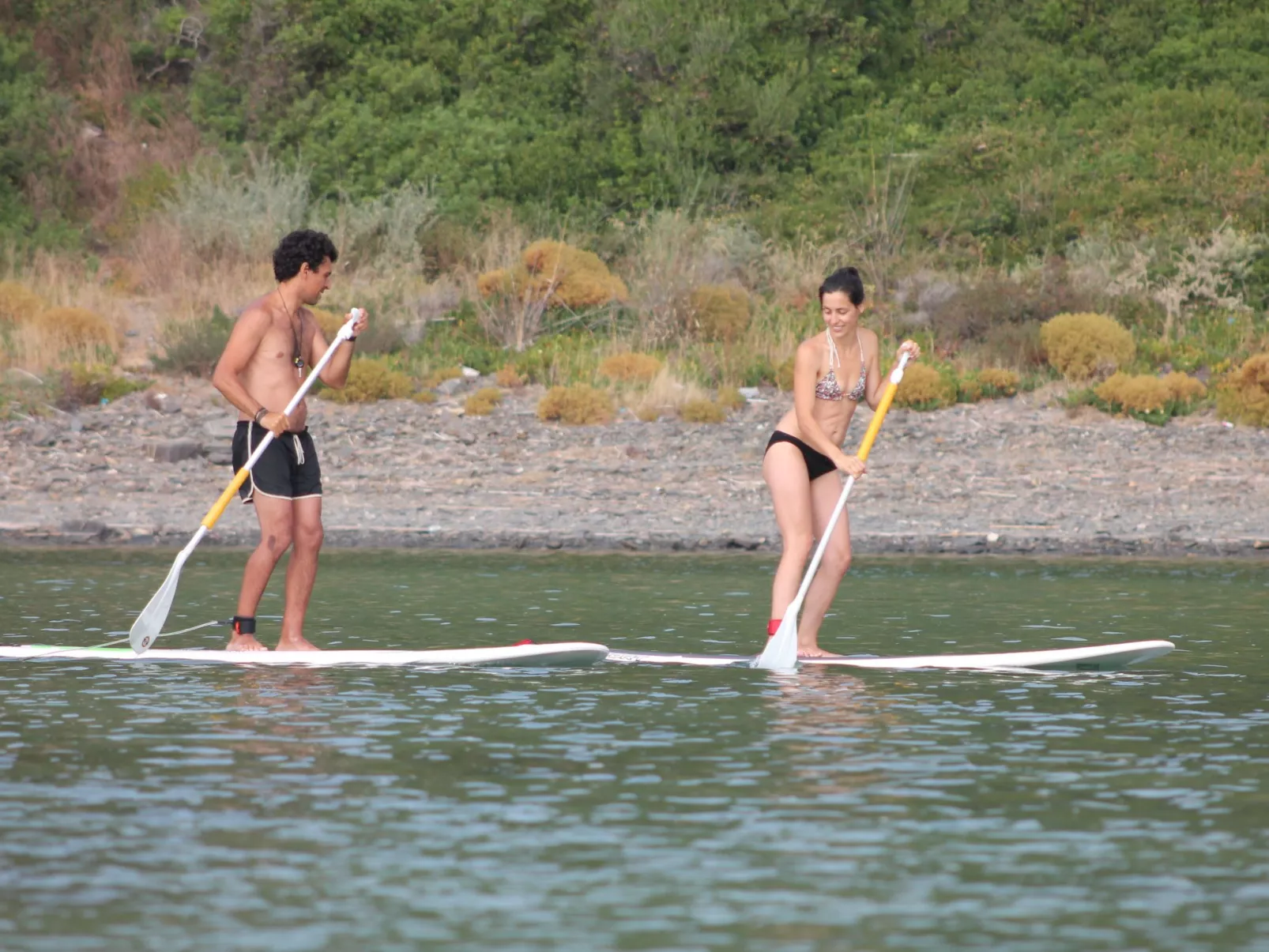 "The Natural Elements" - Buiten