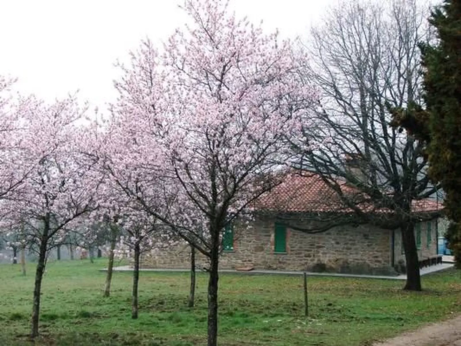 Le Corniole mit Pool, Jacuzzi und Grill - Image-tags.info