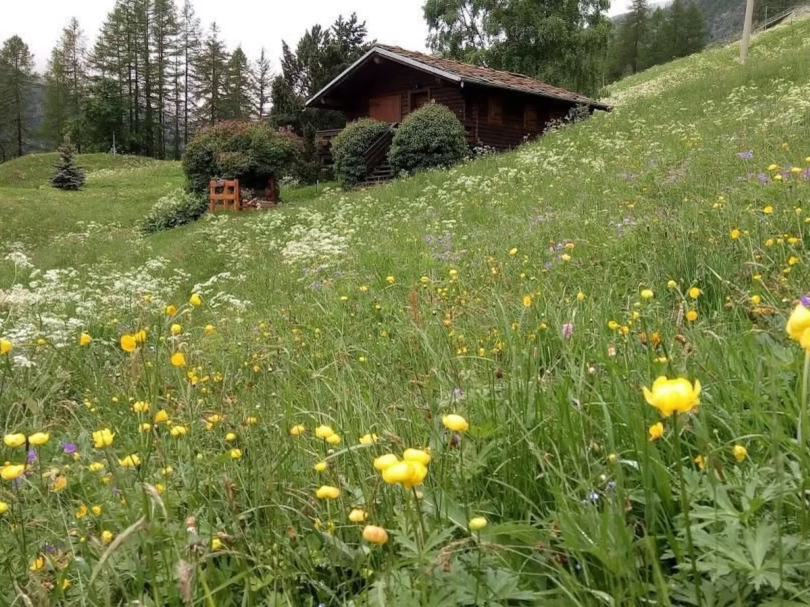 'Lo Chalet' der Balkon über dem Matterhorntal - Buiten