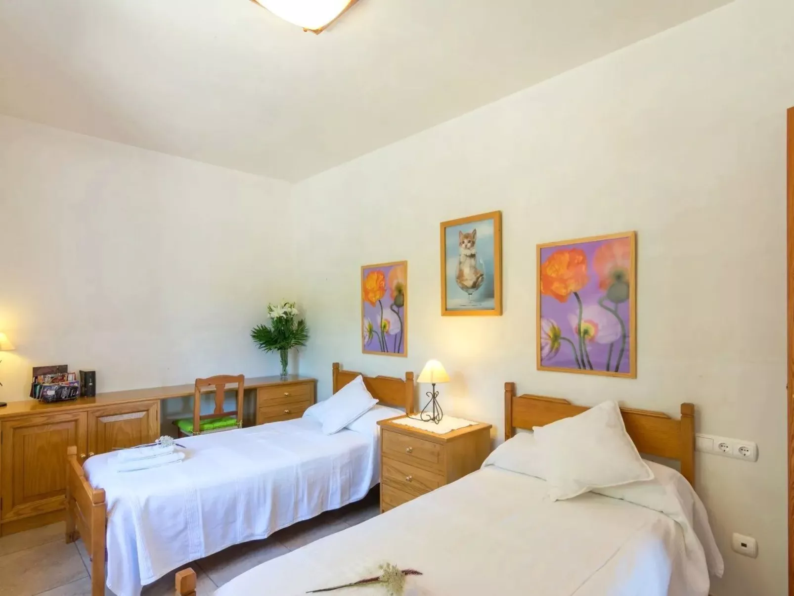 Schönes Landhaus mit Panoramablick auf die Berge - Binnen